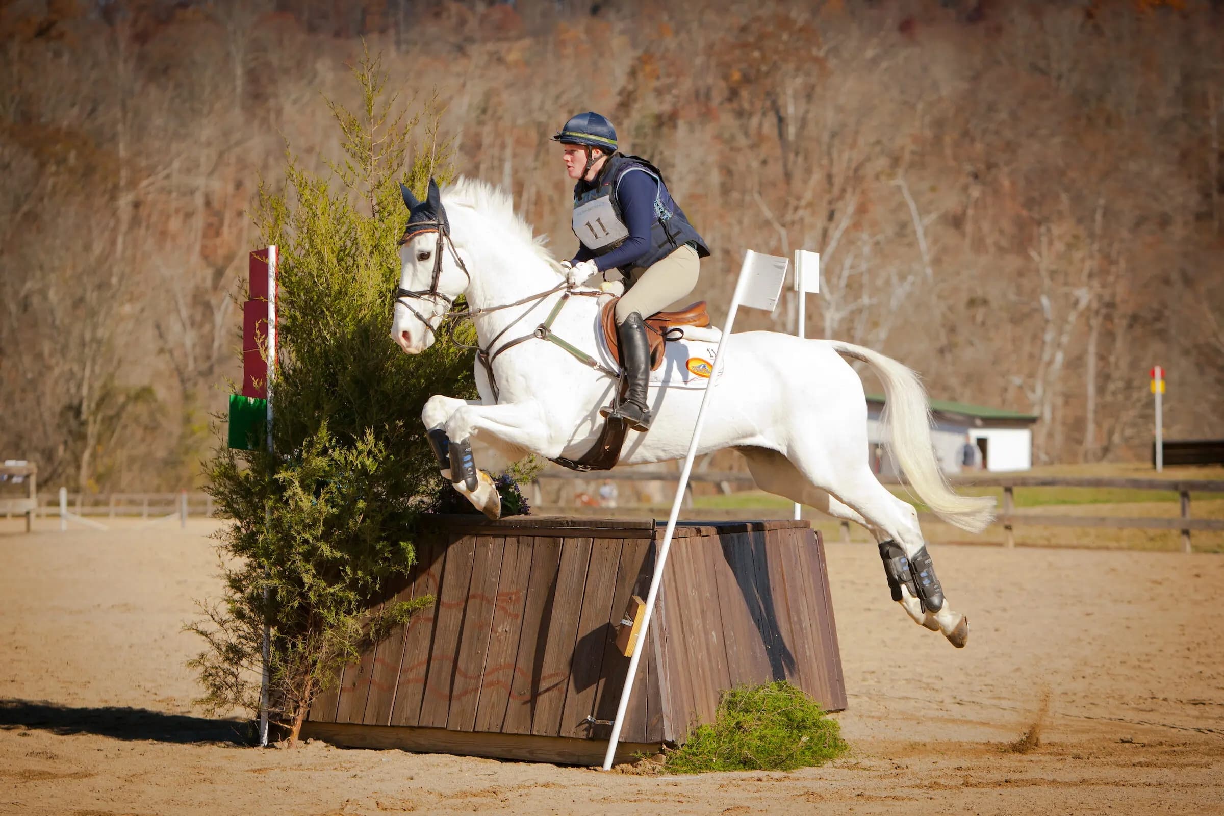 Weekend Quick Links: November 8-9