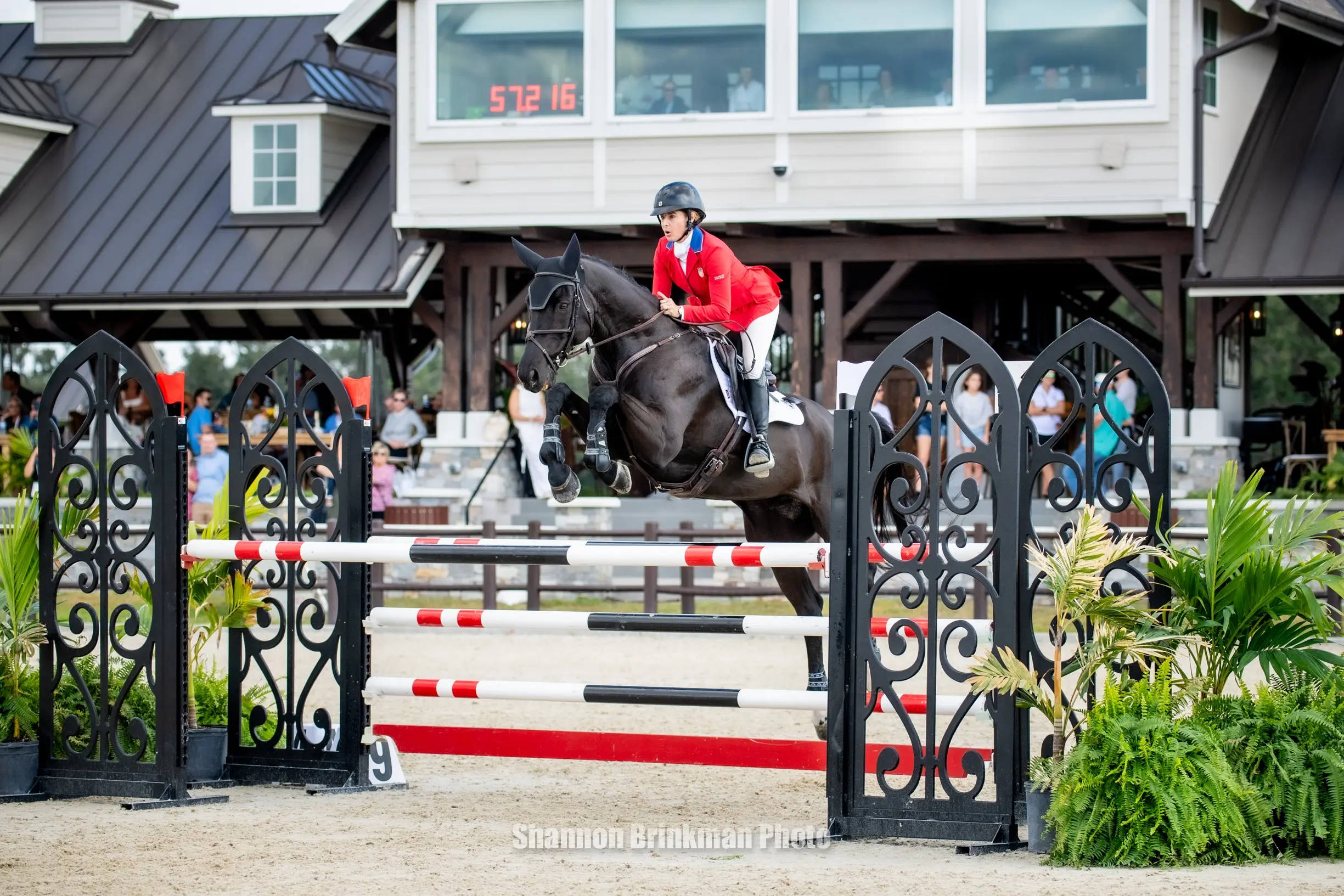 Overnight Leader Elliott and QC Diamantaire Claim the CCI4*-L Win at TerraNova