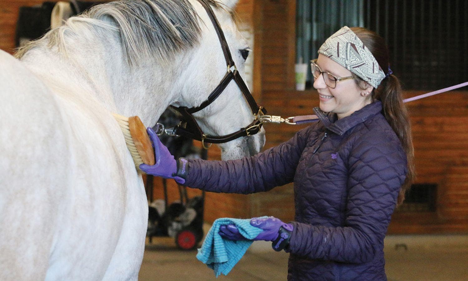 6 Winter Grooming Tips