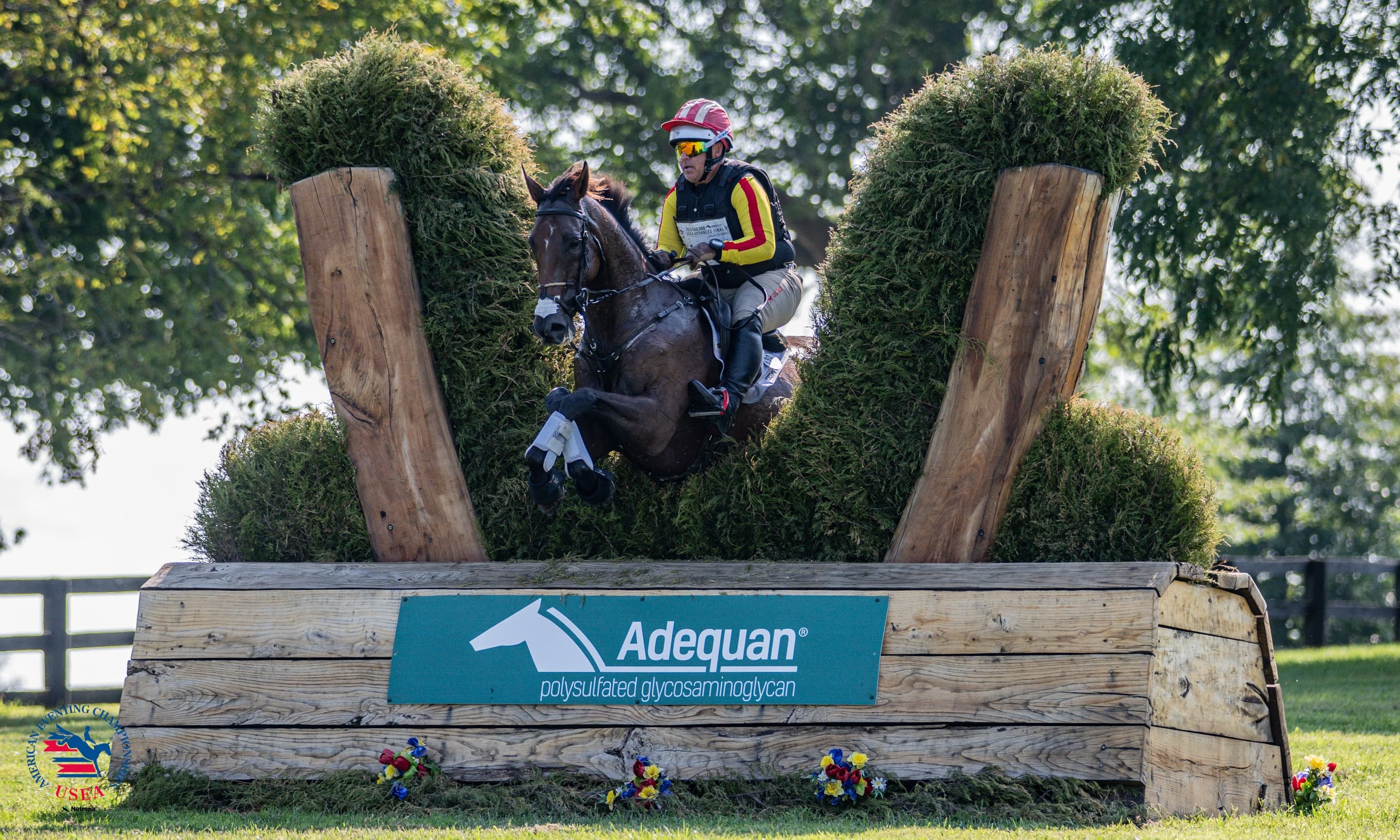 Meet the Thoroughbred Incentive Program Champions of the #AEC2026