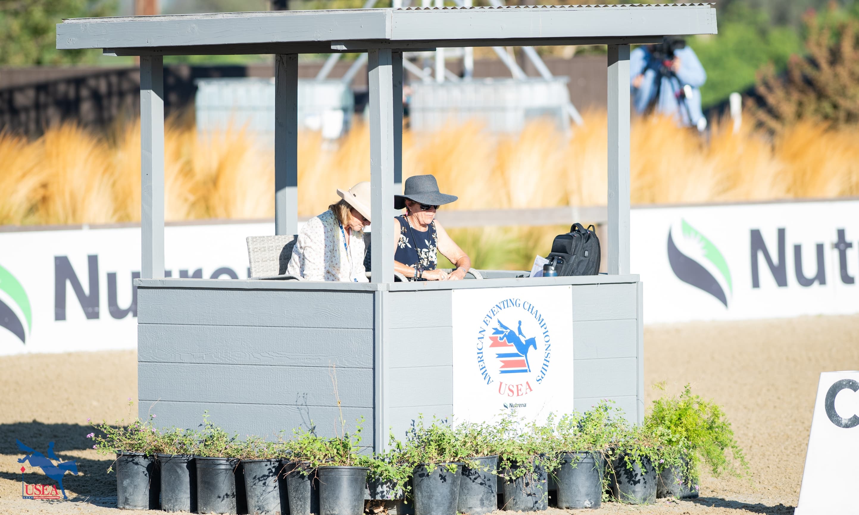 The VAP Series – Dressage Scribes