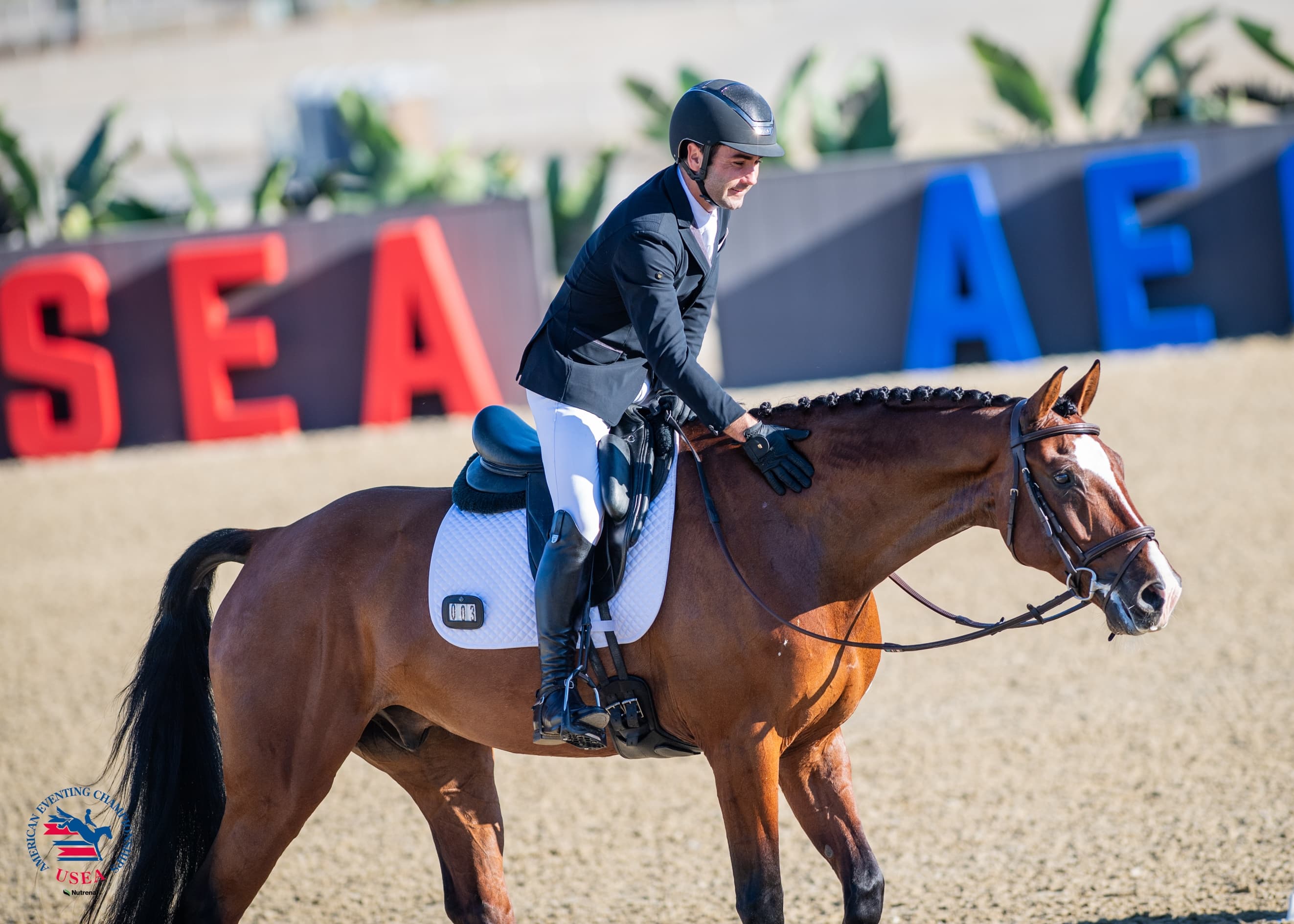 Call for Official Photographer and Videographer/Live Stream Service Providers at the 2026 USEA AEC