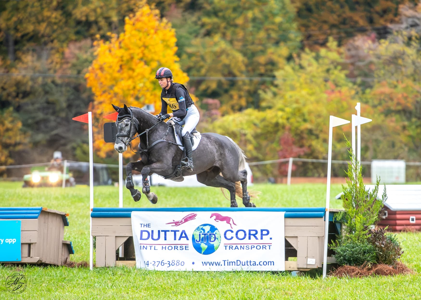 HSH Moves Like Jagger Takes Center Stage in USEA YEH East Coast 5-Year-Old Championship