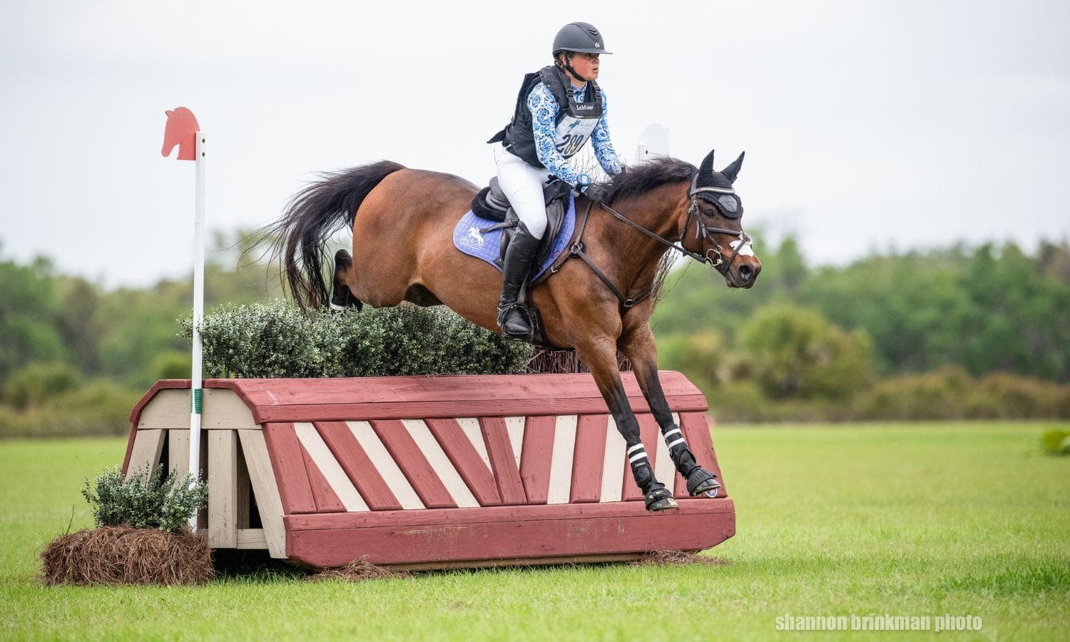 Borton Comes Full Circle at The Event at TerraNova CCI1*-S