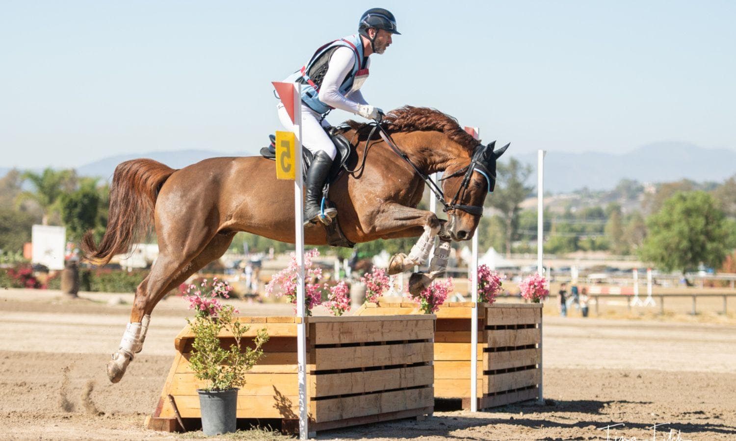 Meet the 2025 Area VI Champions