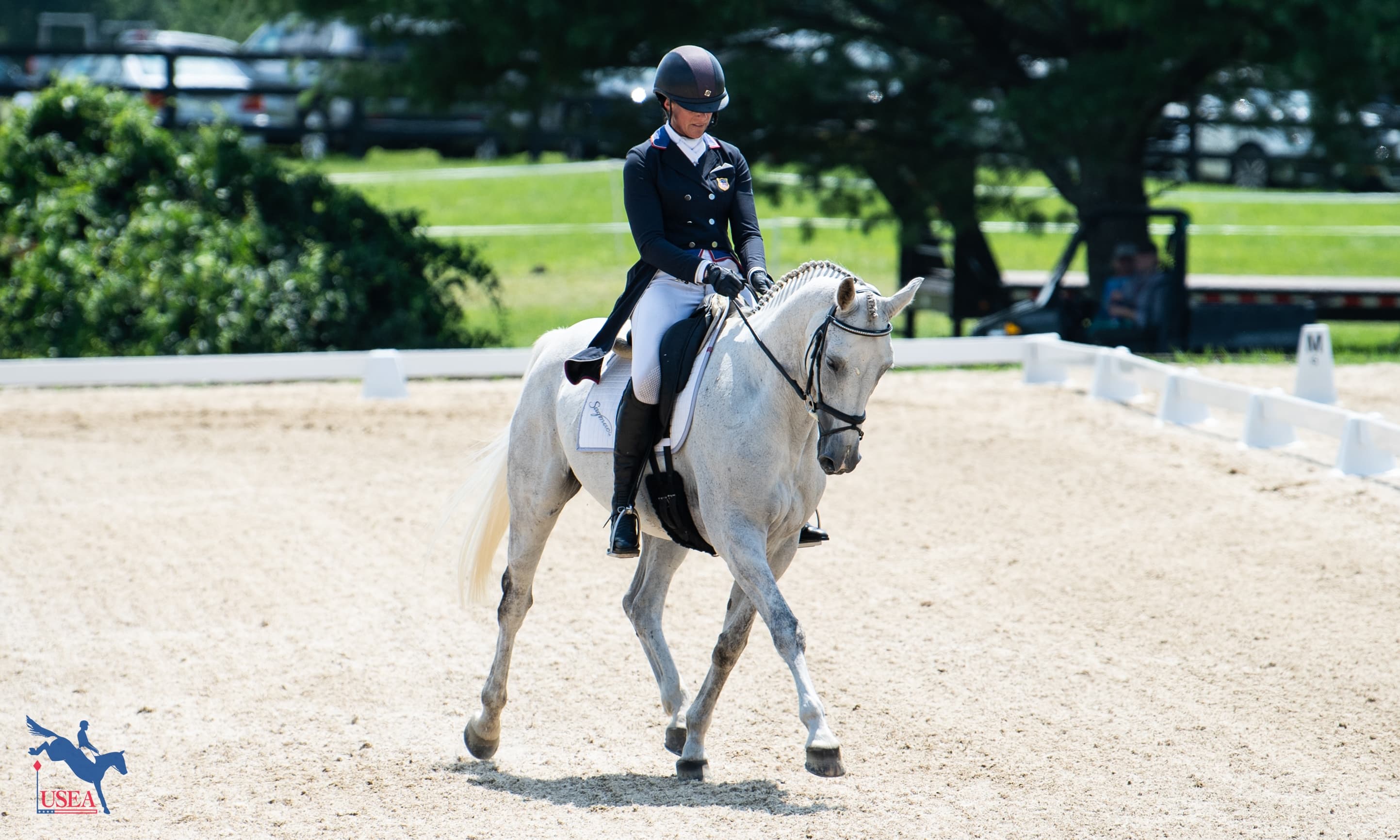 How Easy GG Steps Up with Nicholson at Millbrook Horse Trials