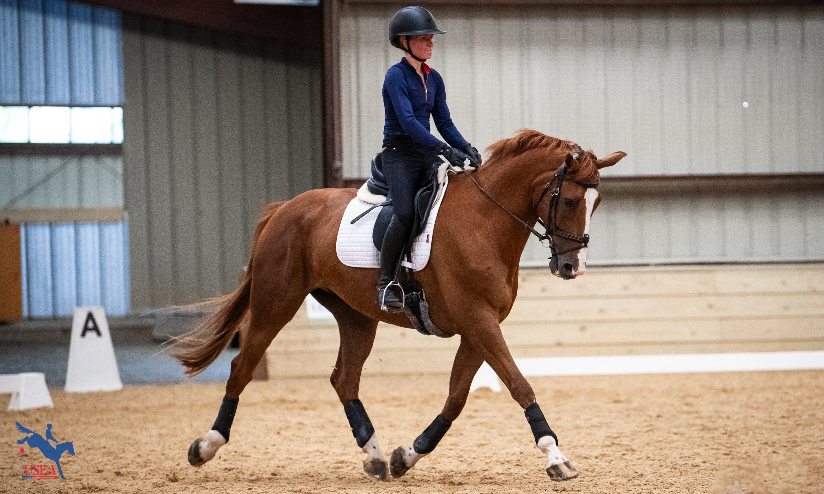 Improving the Gaits on Day 1 of the USEA EA21 East I Clinic