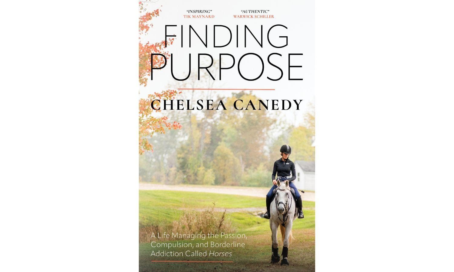 Book Excerpt | Finding Purpose: A Life Managing the Passion, Compulsion, and Borderline Addiction Called Horses