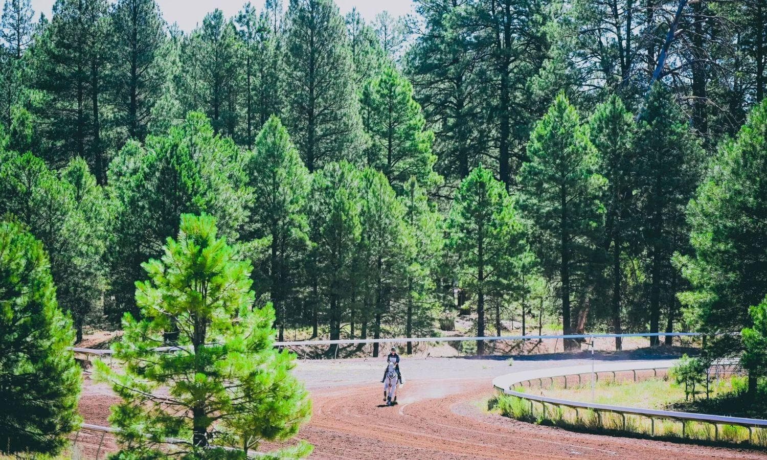 The Classic Series is ‘Icing on the Cake’ for Longtime Coconino Organizer Alice Sarno