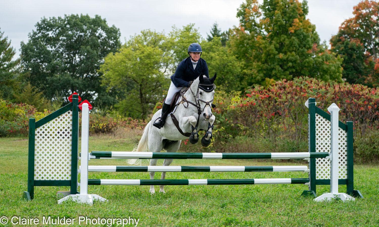 Road to the AEC: After a 20-Year Riding Hiatus, Dawn Swingen is Enjoying Her Eventing Journey