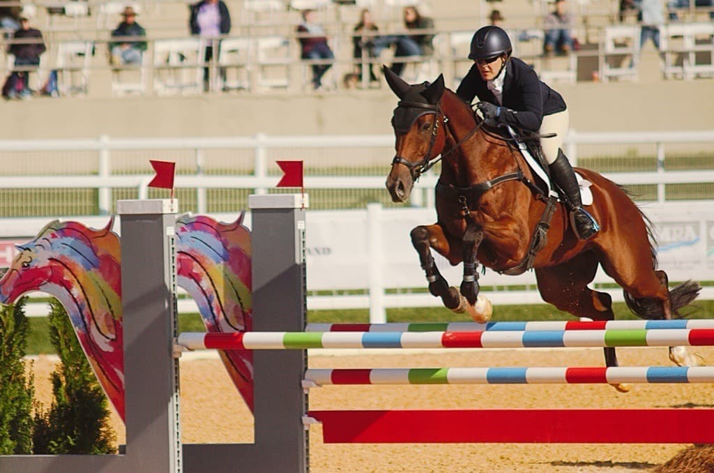 Kissing Spines in Event Horses: Why PulseVet® Shock Wave Therapy Has Become a Key Component of Multimodal Management