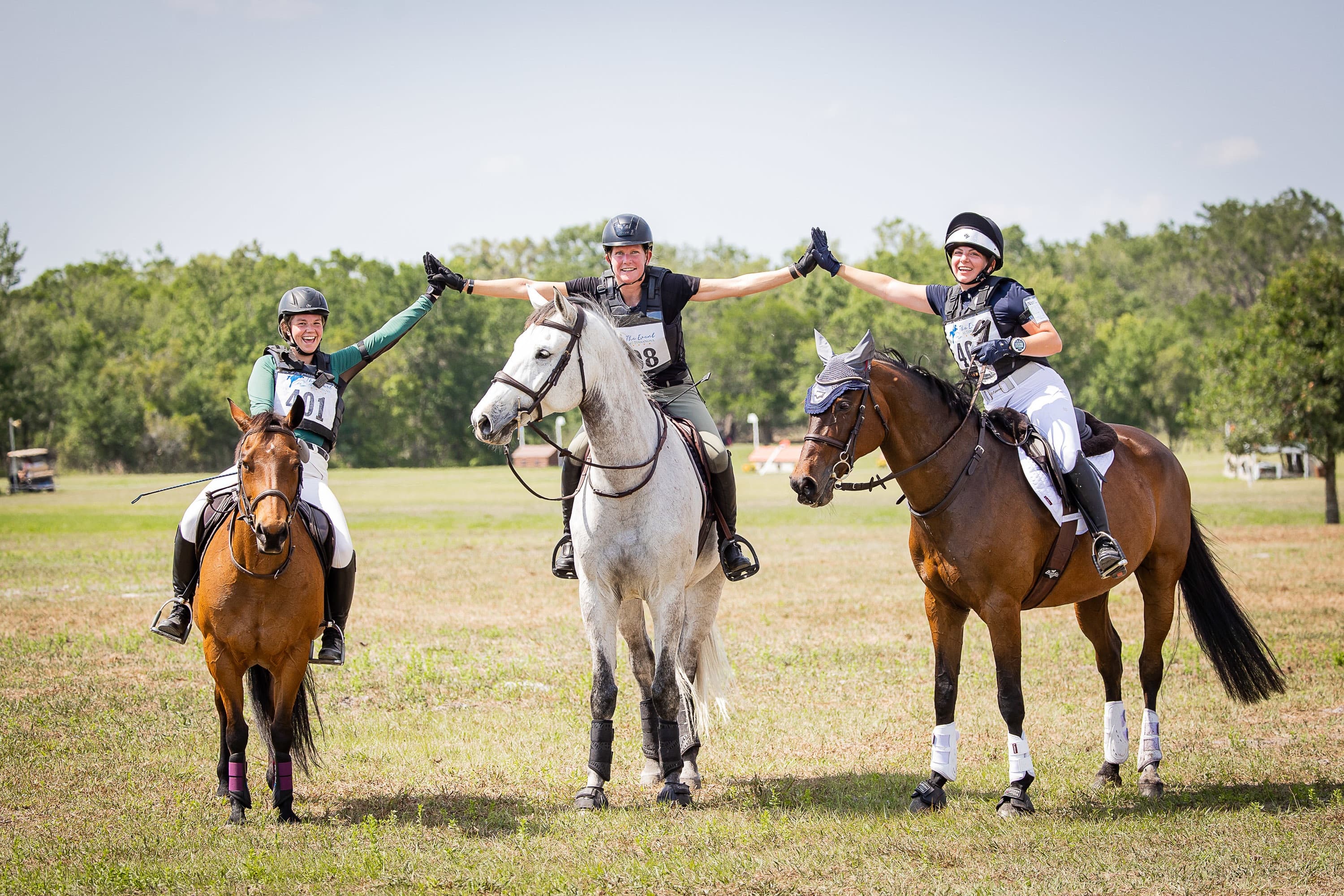 Weekend Quick Links: November 15-16