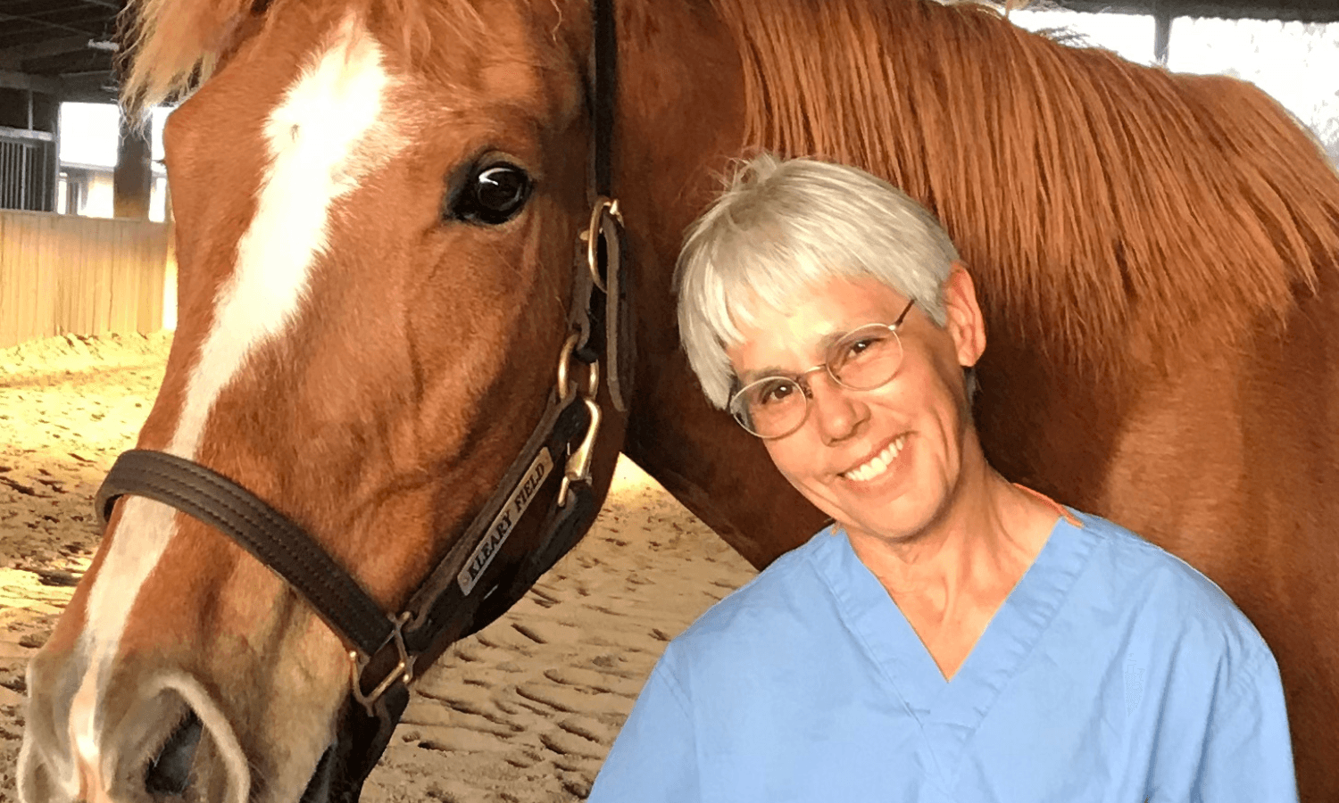 Balancing Medicine, Horses, and Homebreds with Lucinda Romero