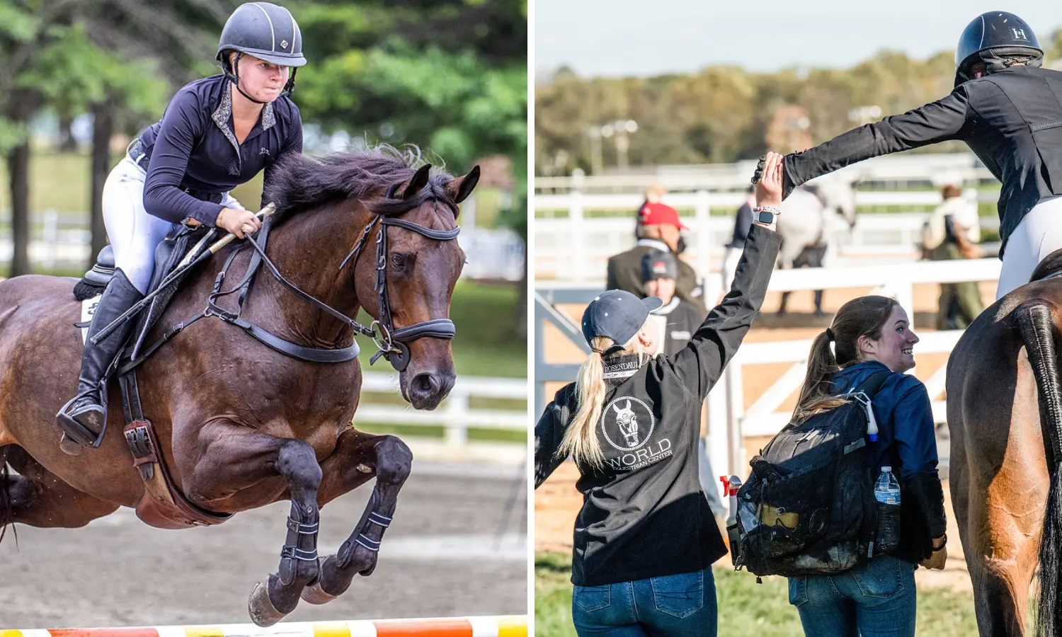 Chasing Two Dreams: How Ruth Rosendaul Manages Full-Time Grooming and Full-Time School