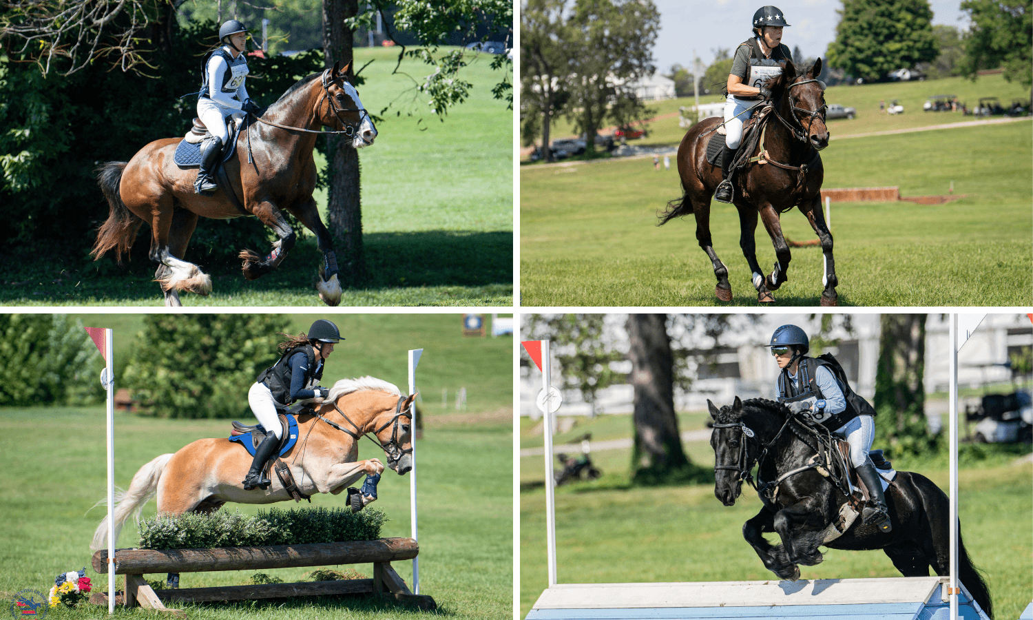 Four Breeds, One Team: Meet the Adams Horse Supply USEA ATC’s “Variety Pack”