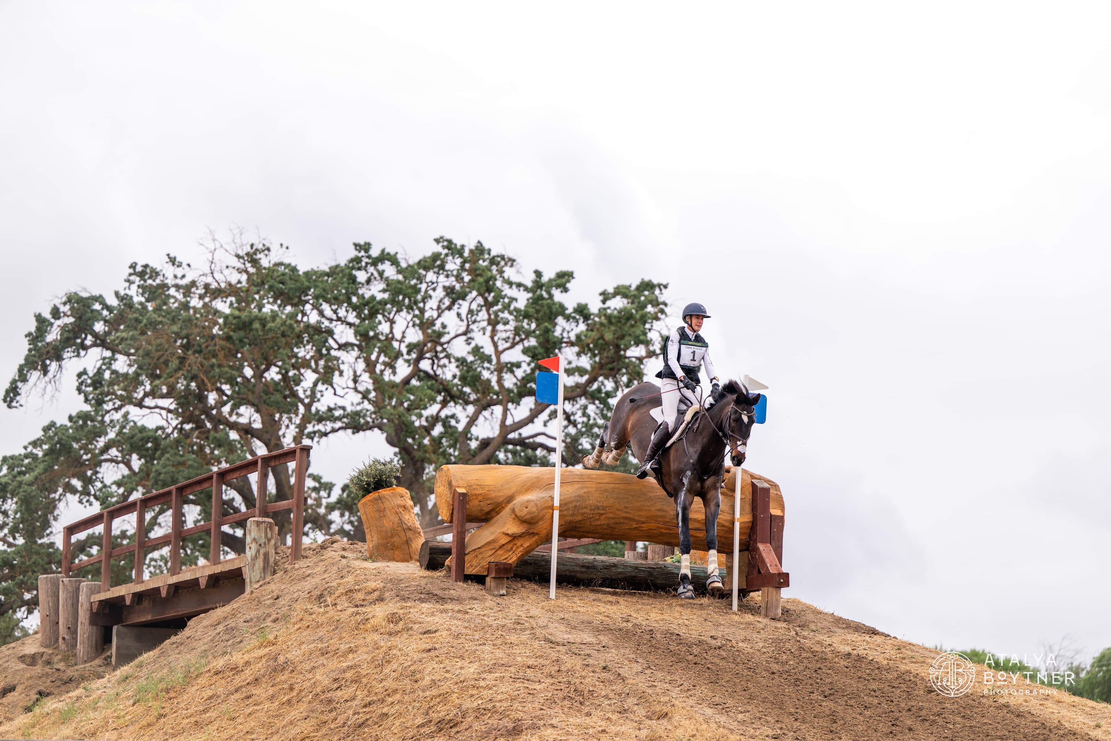 Milestone Moments for FEI Winners at Twin Rivers Spring International