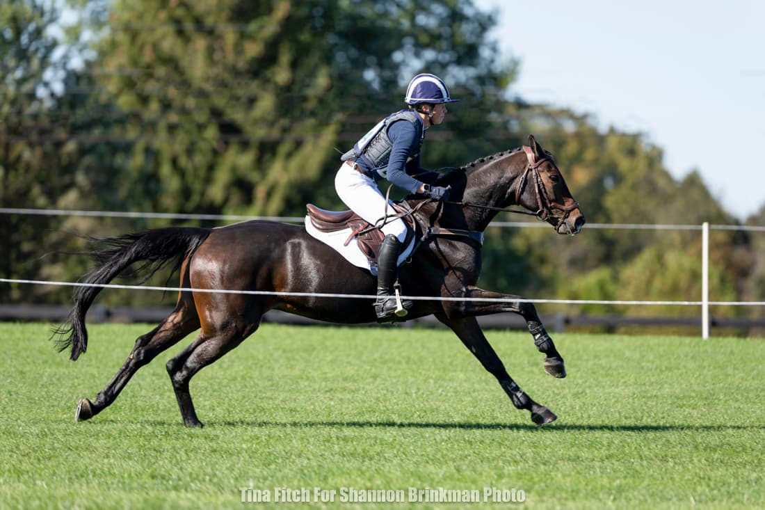 Save the Date: 2026 Young Event Horse Symposium in Ocala, Florida