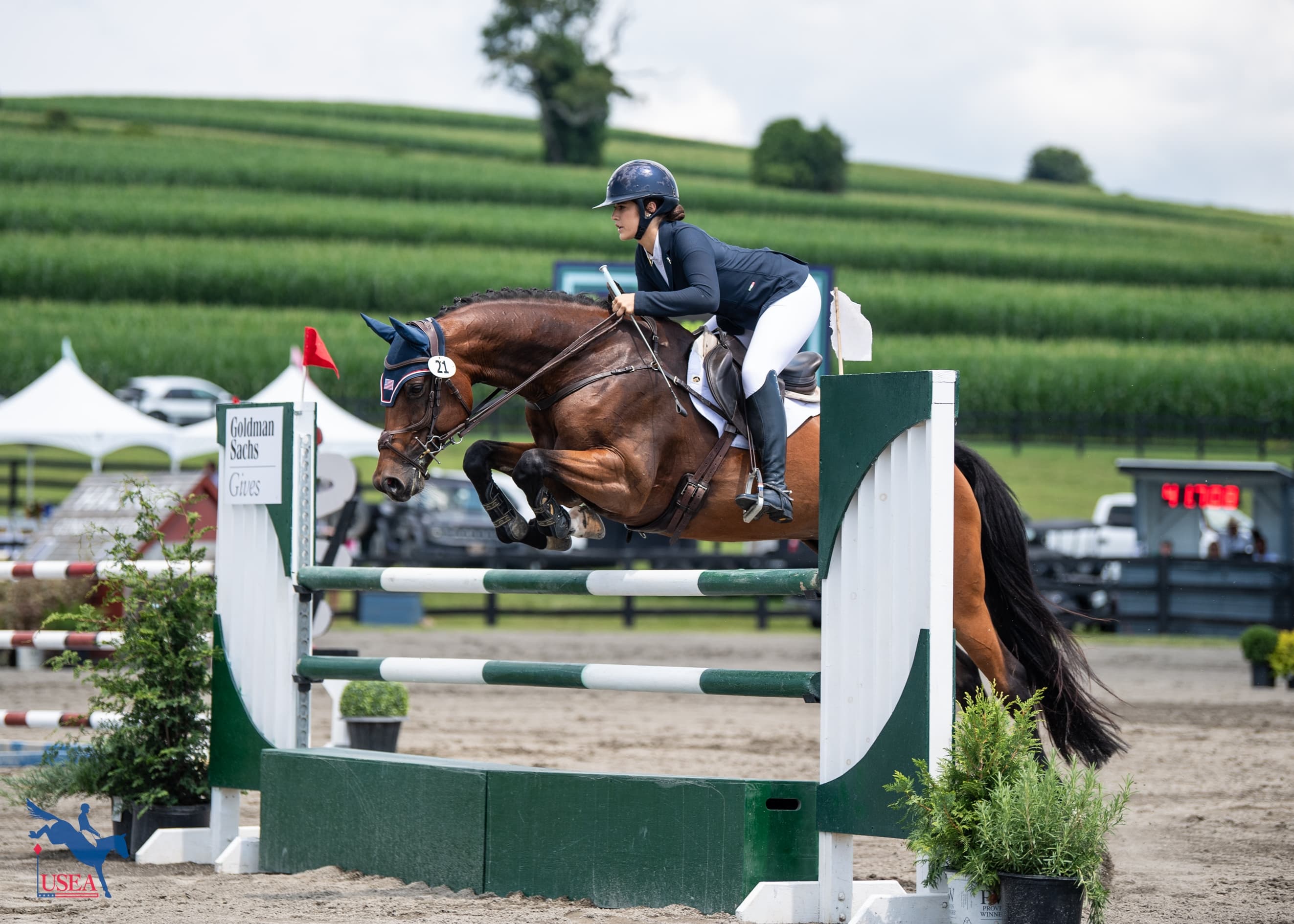 Everything Clicks for Young Rider Ava Applebaum at Millbrook