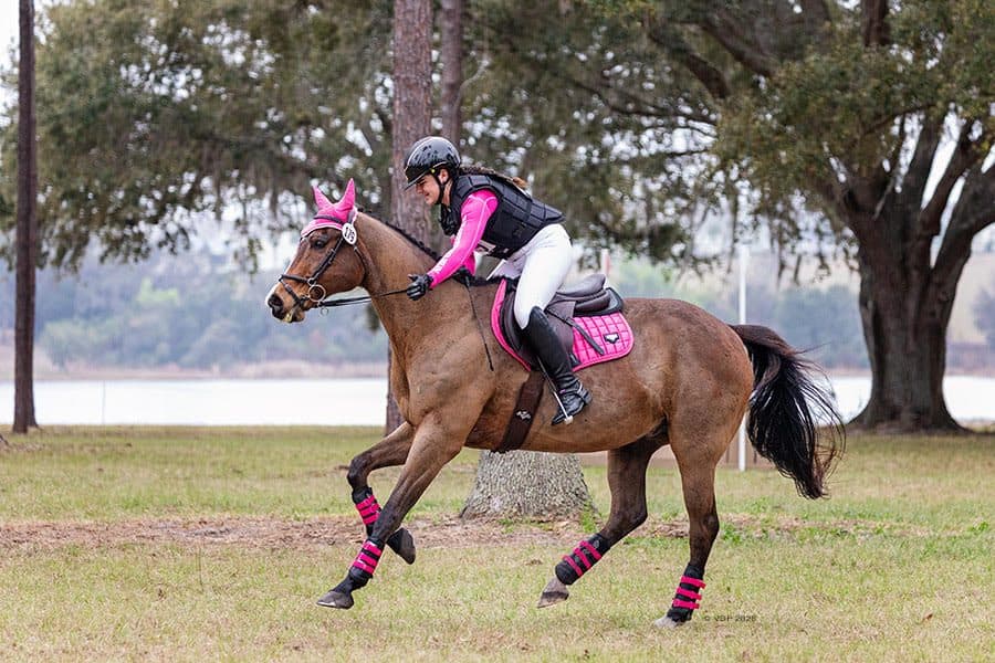 Road to the AEC: The Riddler Will Have His Swan Song at the AEC with Madison James