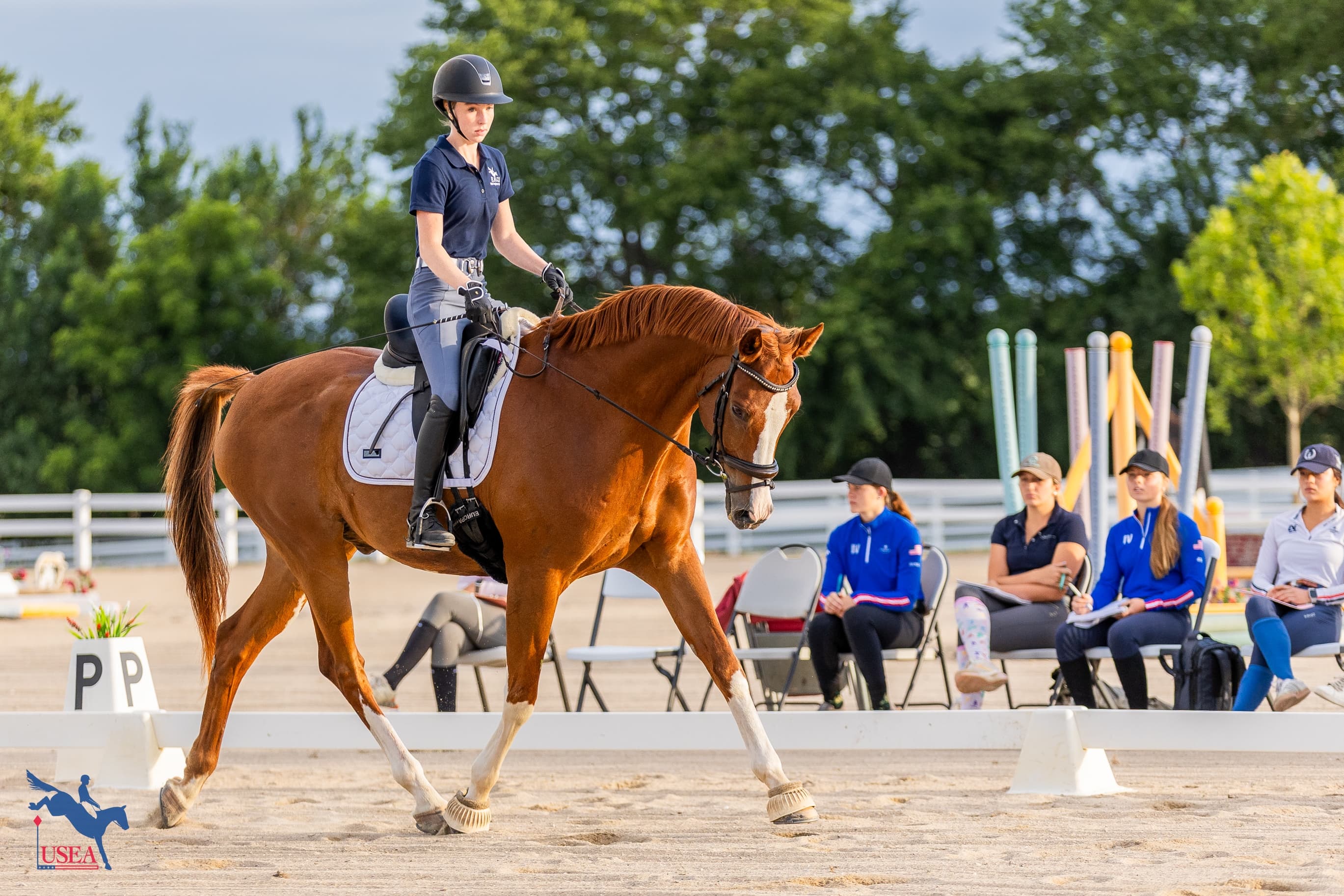 Creating Suppleness through Lateral Work and Transitions on Day 1 of the USEA EA21 Central Clinic
