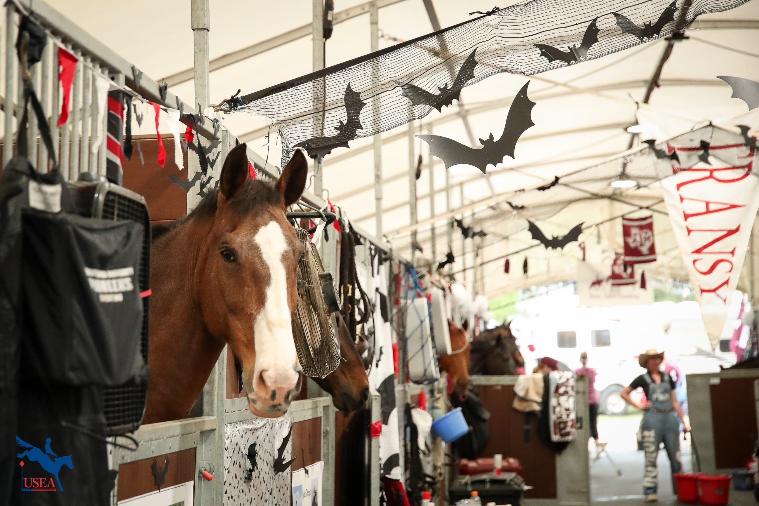 The 2026 USEA Intercollegiate Team Challenge Season is Here