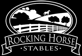 Post-Competition Equine Collapse at Rocking Horse Winter I H.T.