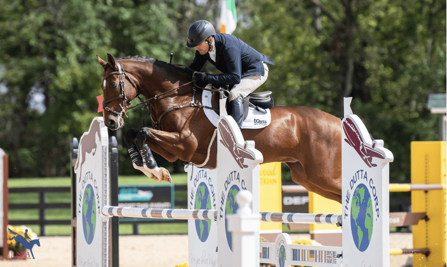 The Race to Le Lion: Darwinn Set to Receive 2024 Holekamp/Turner Grant