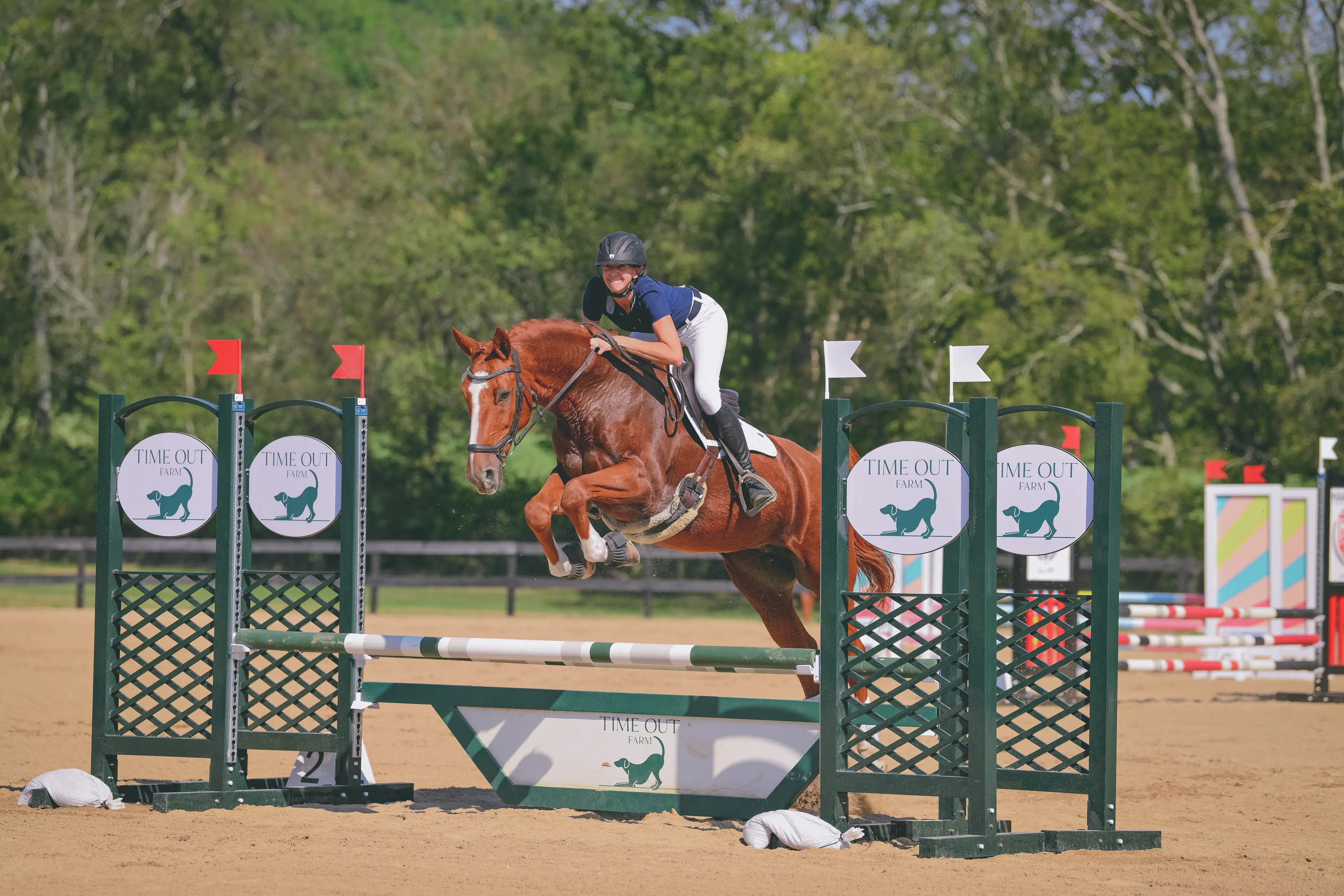 Road to the AEC: Megan Sergel Has Found Her Way Back to Horses and Herself with Dutchess