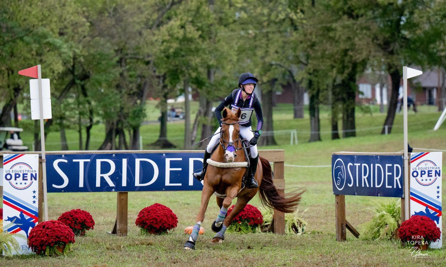 Strider Continues as USEA Educational Partner for 2026