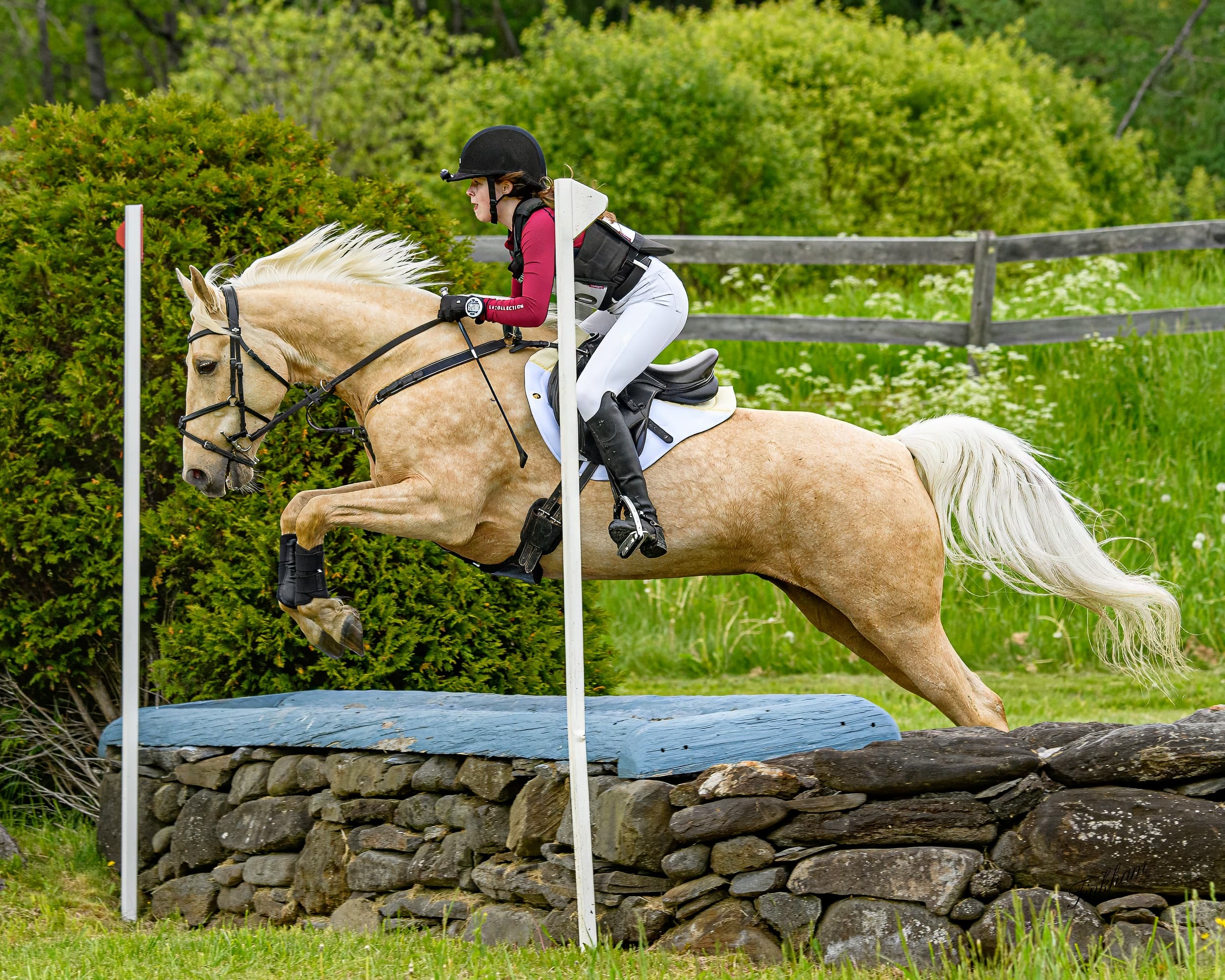Road to the AEC: Rescue Horse Haunted Blessings Has Found His Person in Lizzie Wieckowski