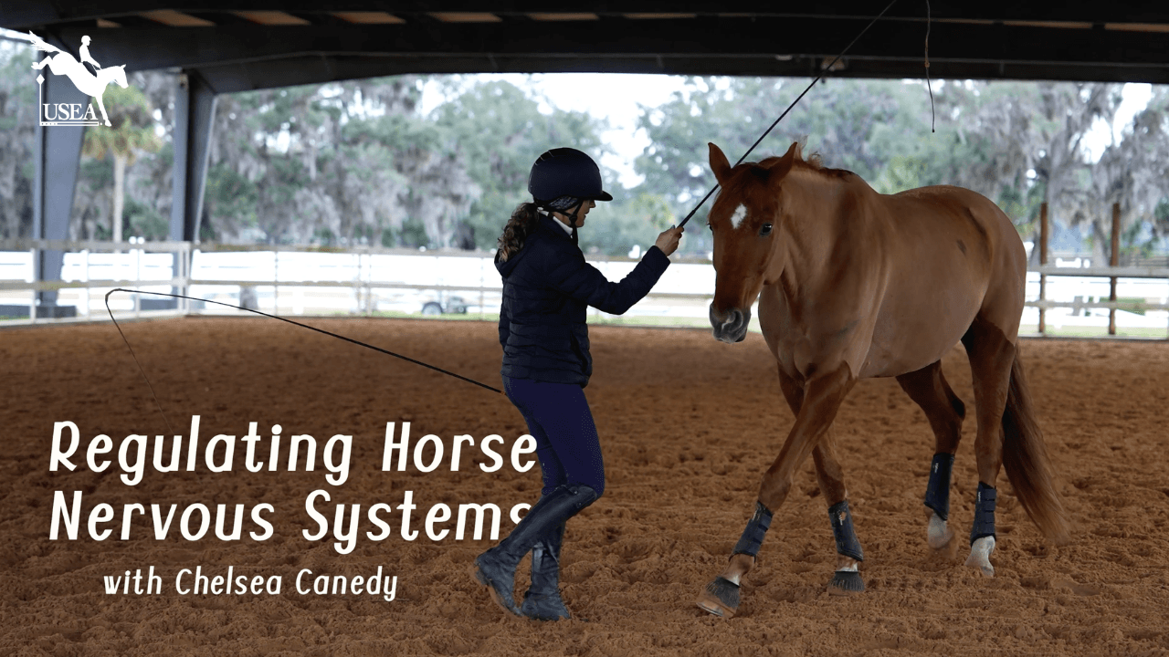 The Horse First: Episode 2 | Regulating Horse Nervous Systems