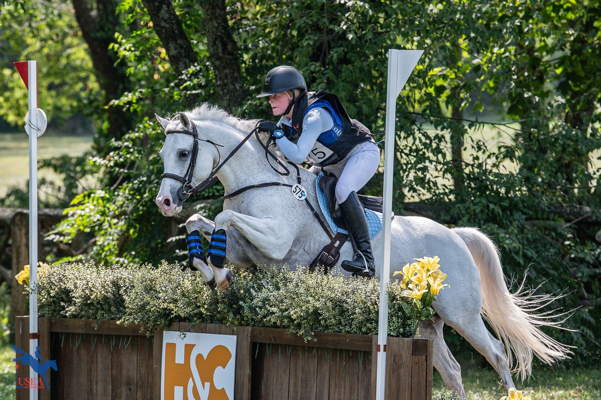 Learn More About the Sport of Eventing