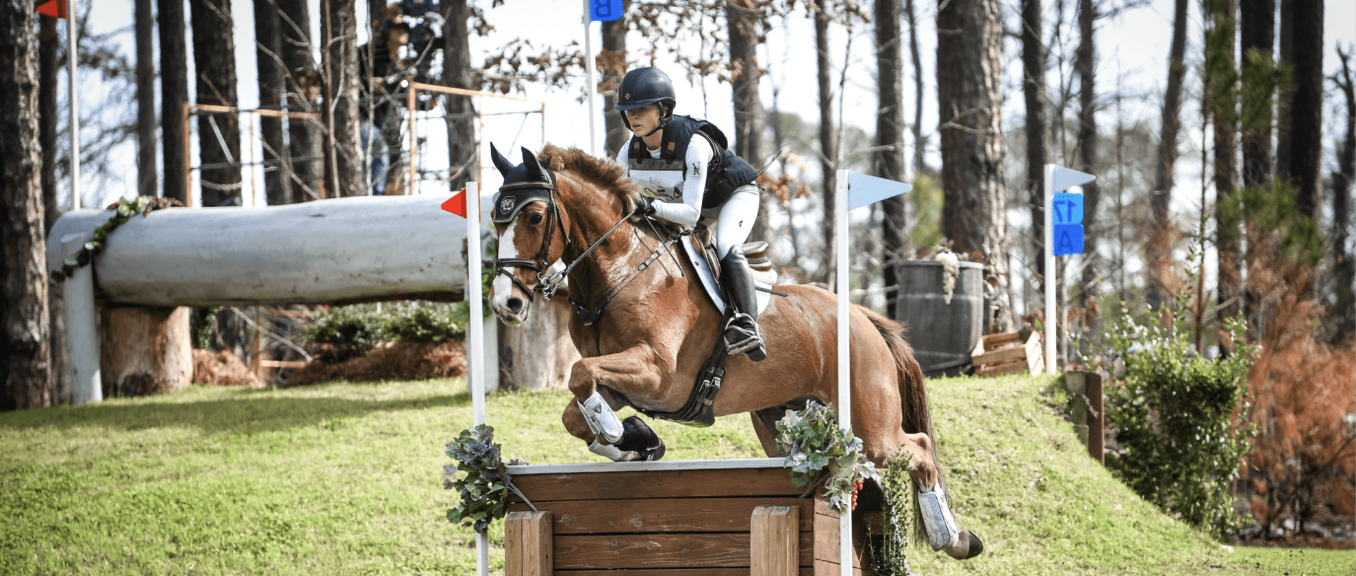 Access a Guide to USEA Online Tools & Resources