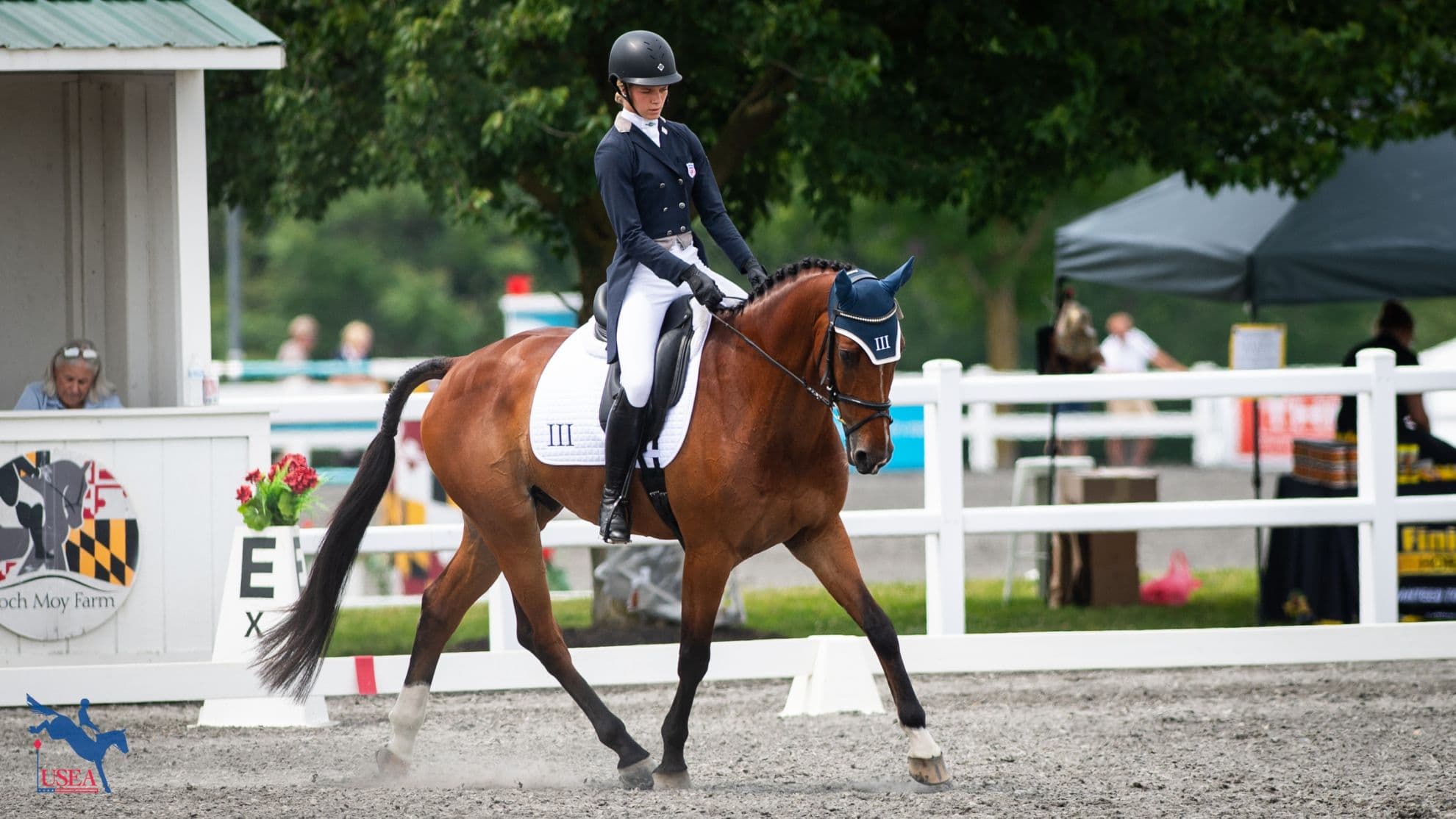 Catch Up on USEF Eventing Young Rider National Championships News