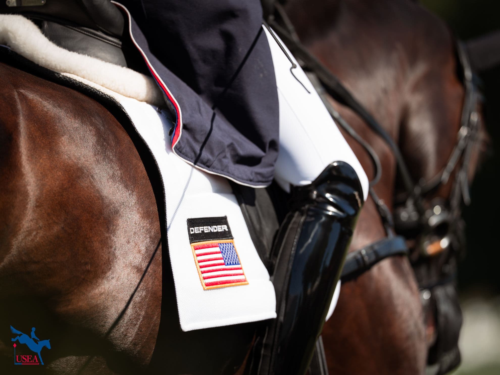 It's FEI Eventing World Championship Week!