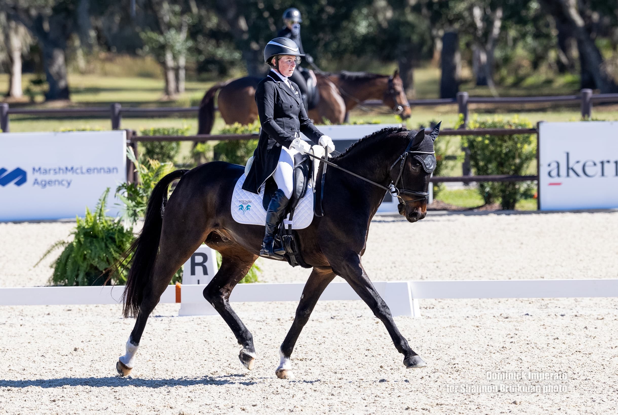 It's a Tie for Pamucku & Baugh Following Dressage in CC3*-L at The Event at TerraNova