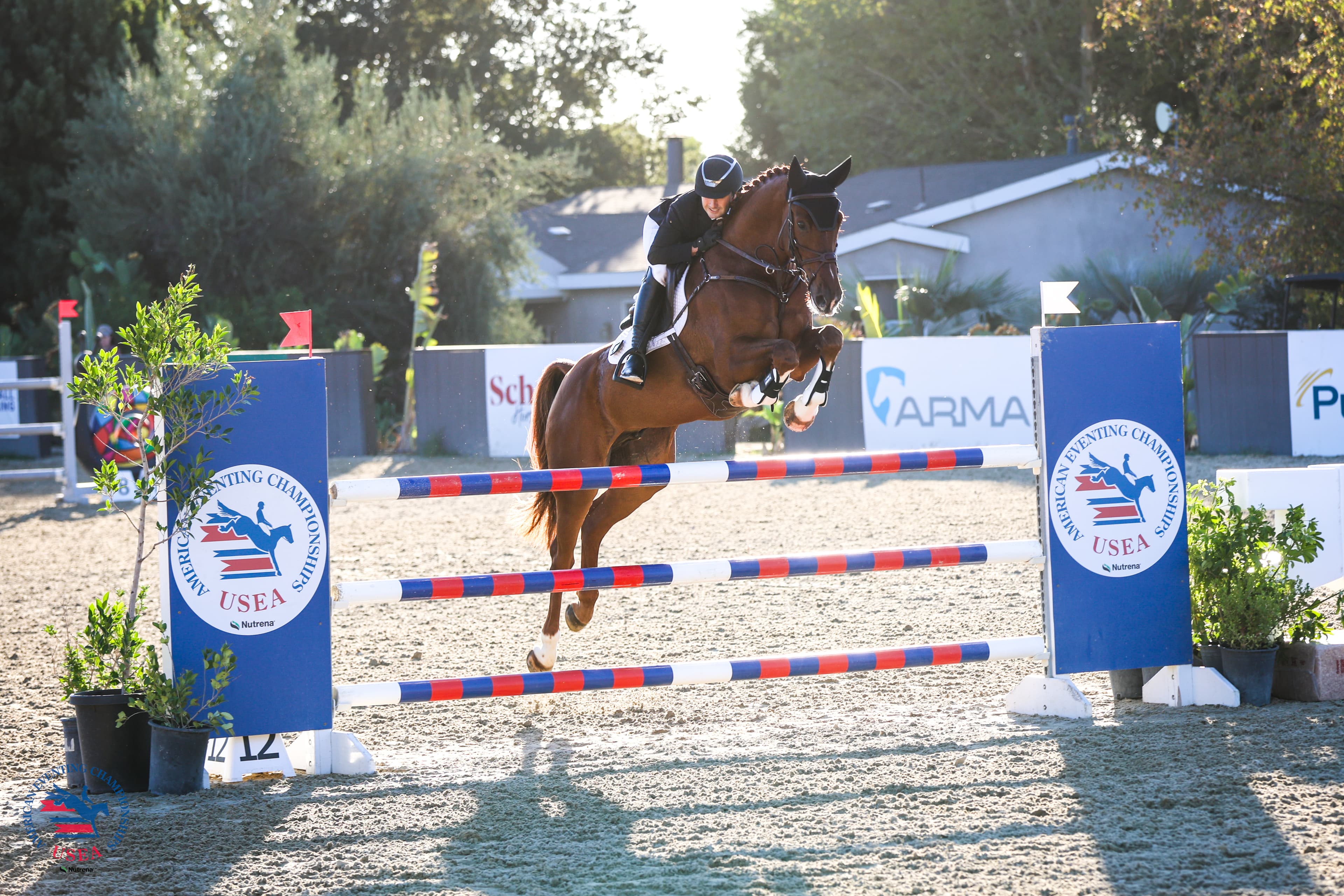 USEA/Veronica Green-Gott photo