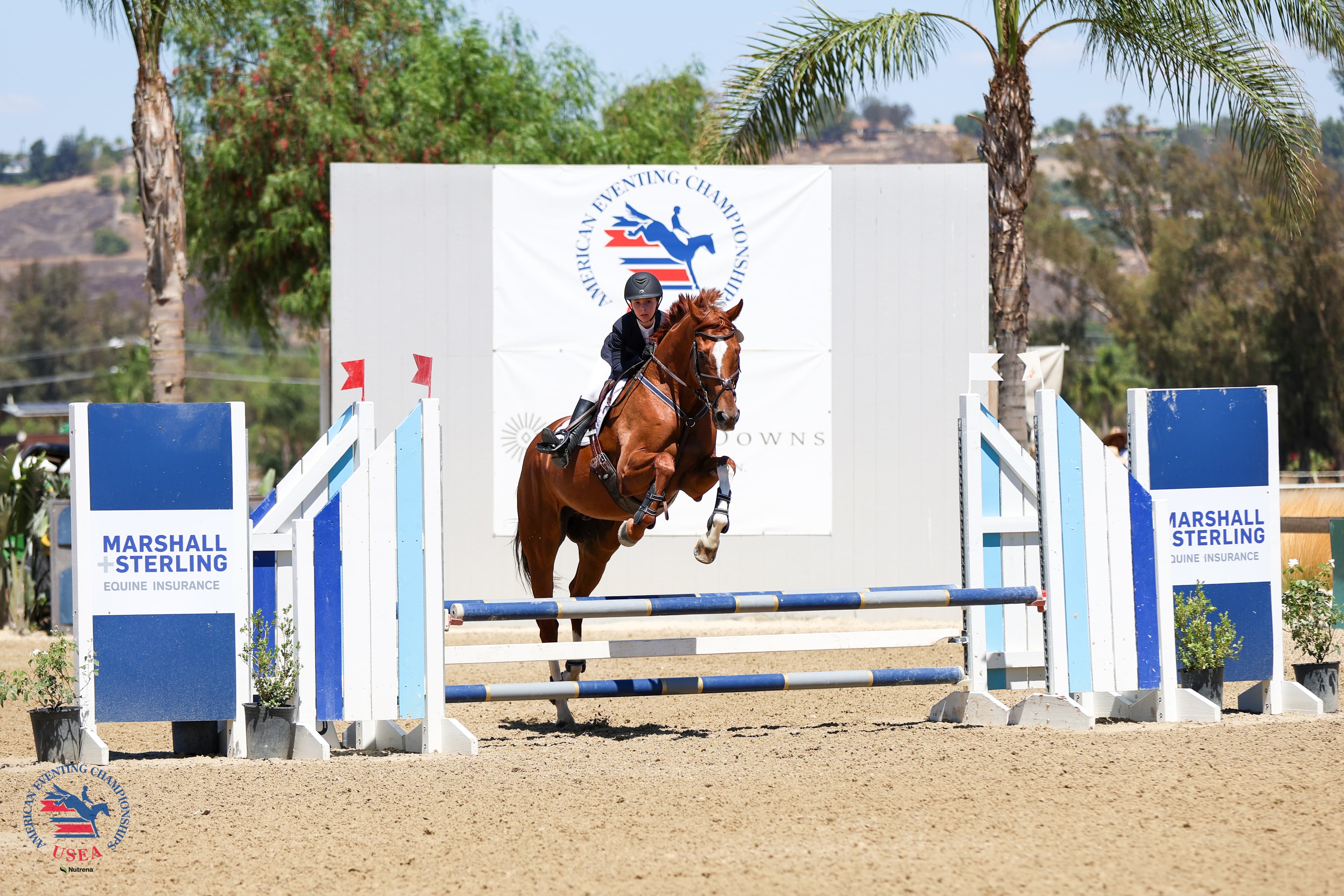 Beginner Novice Junior Champions: Amelia Solivan Busque and Russion Roulette. USEA/Cassidy Klein photo