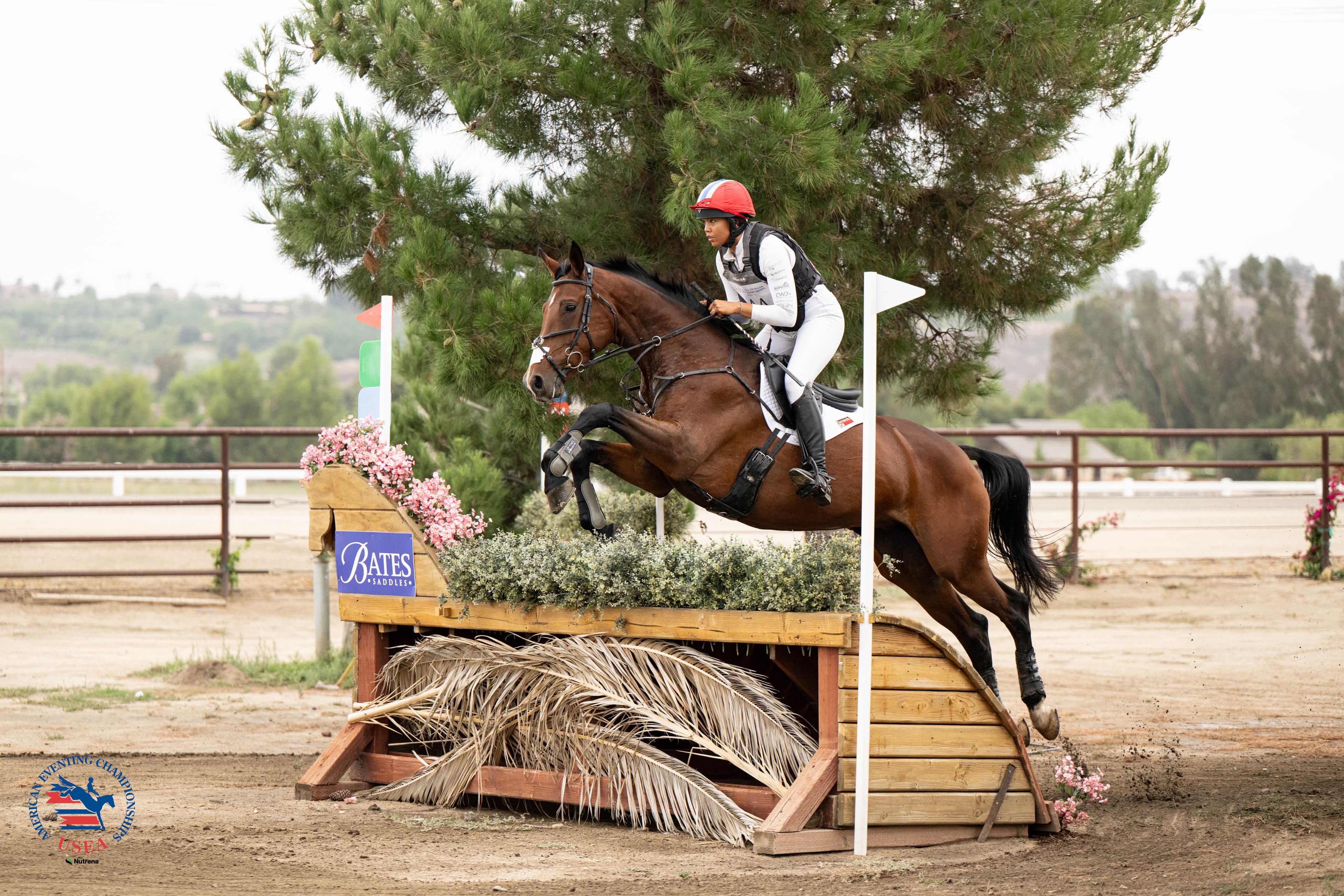 USEA/Veronica Green-Gott photo