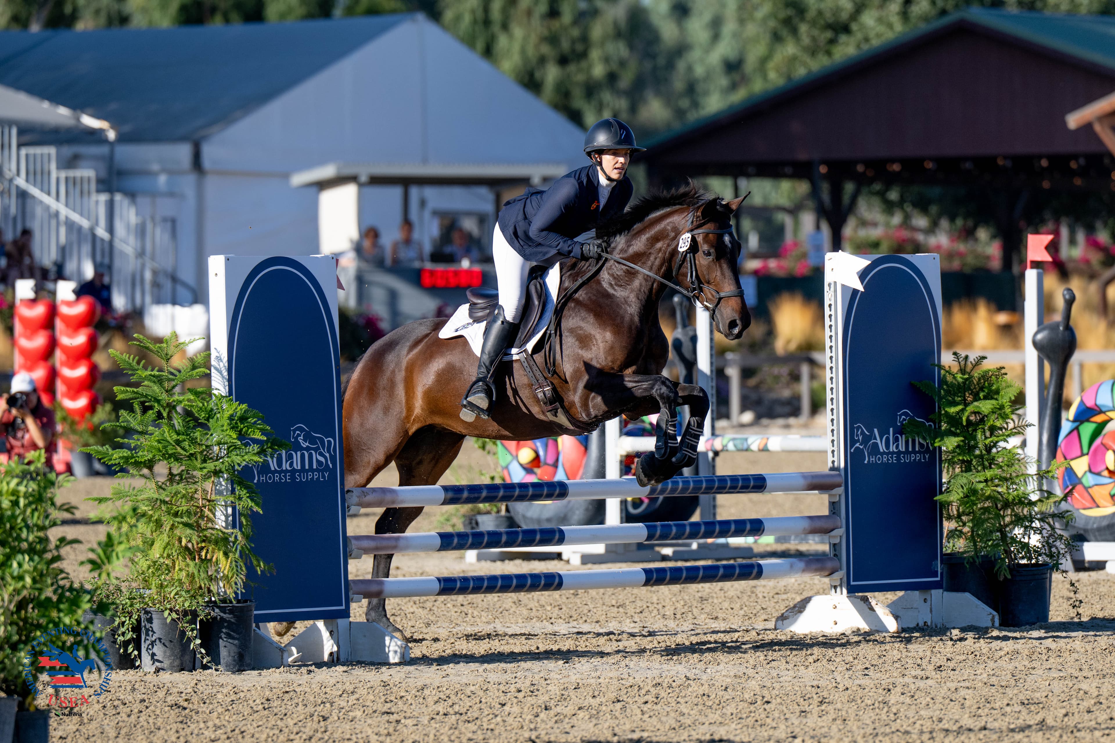 USEA/Veronica Green-Gott photo