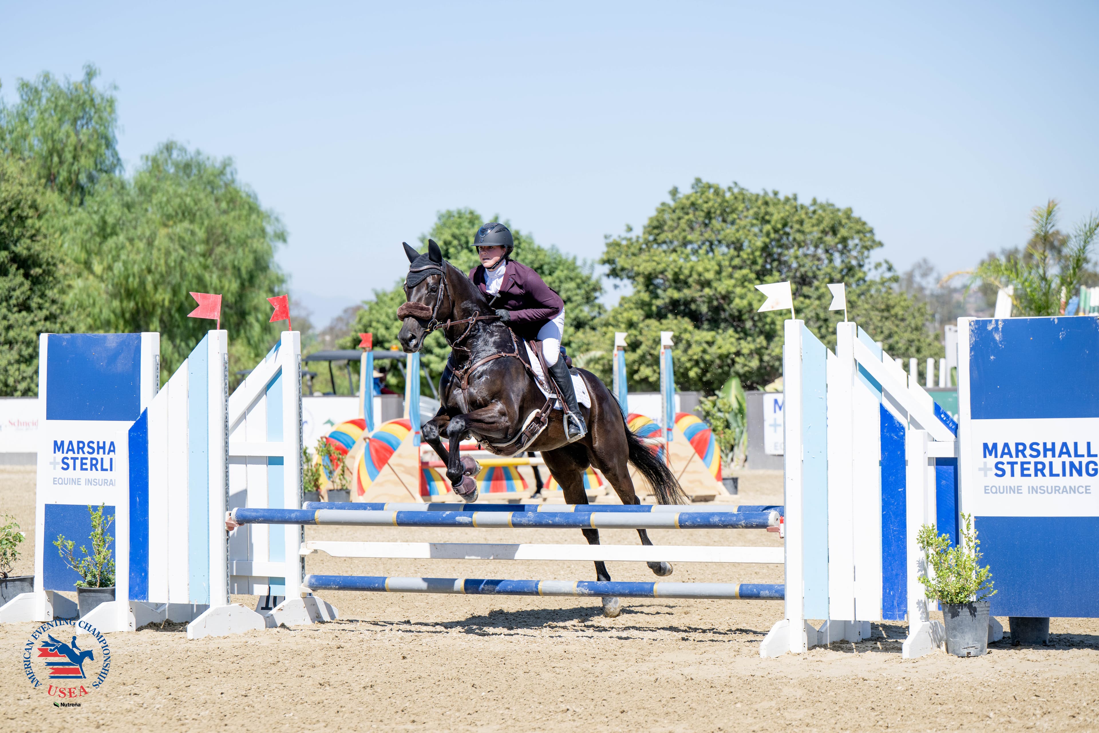 Beginner Novice Rider Champions: Mikaela Kuiper and Smitten. USEA/Veronica Green-Gott photo