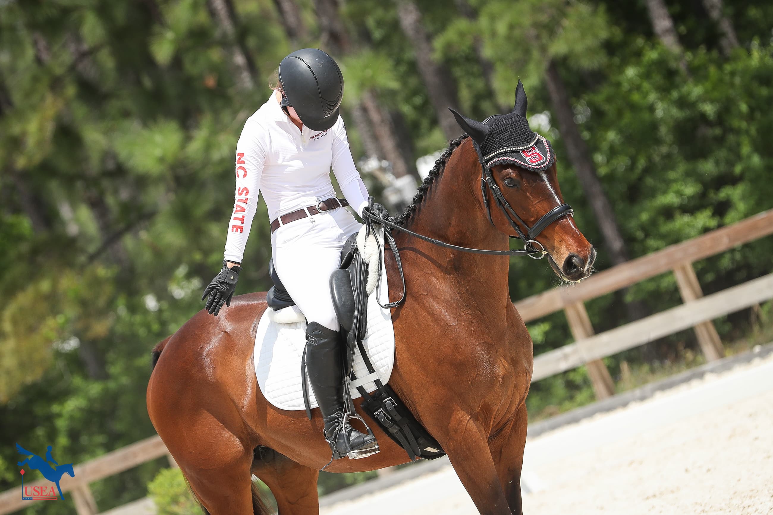 USEA/Annan Hepner photo