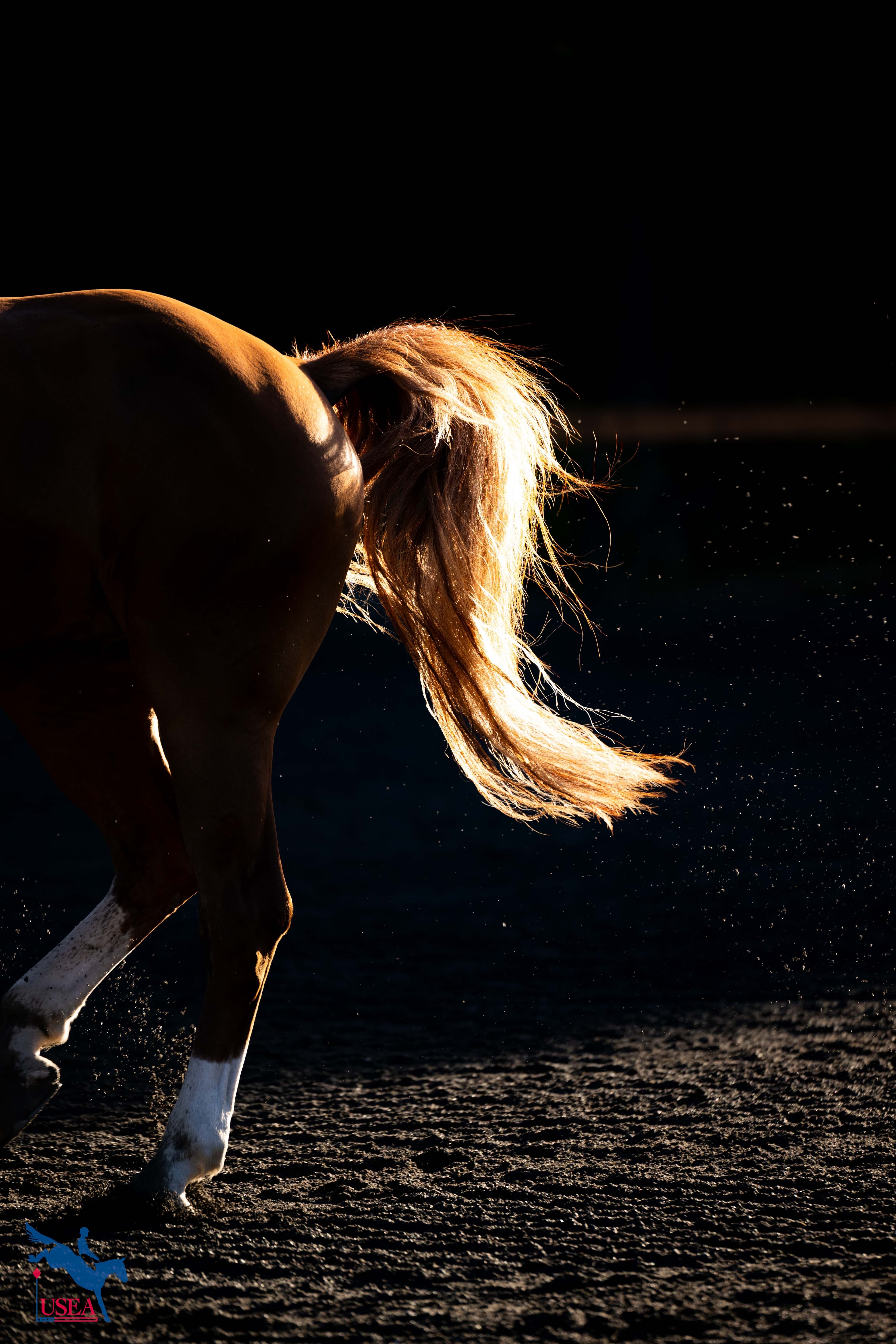 USEA/Atalya Boytner photo