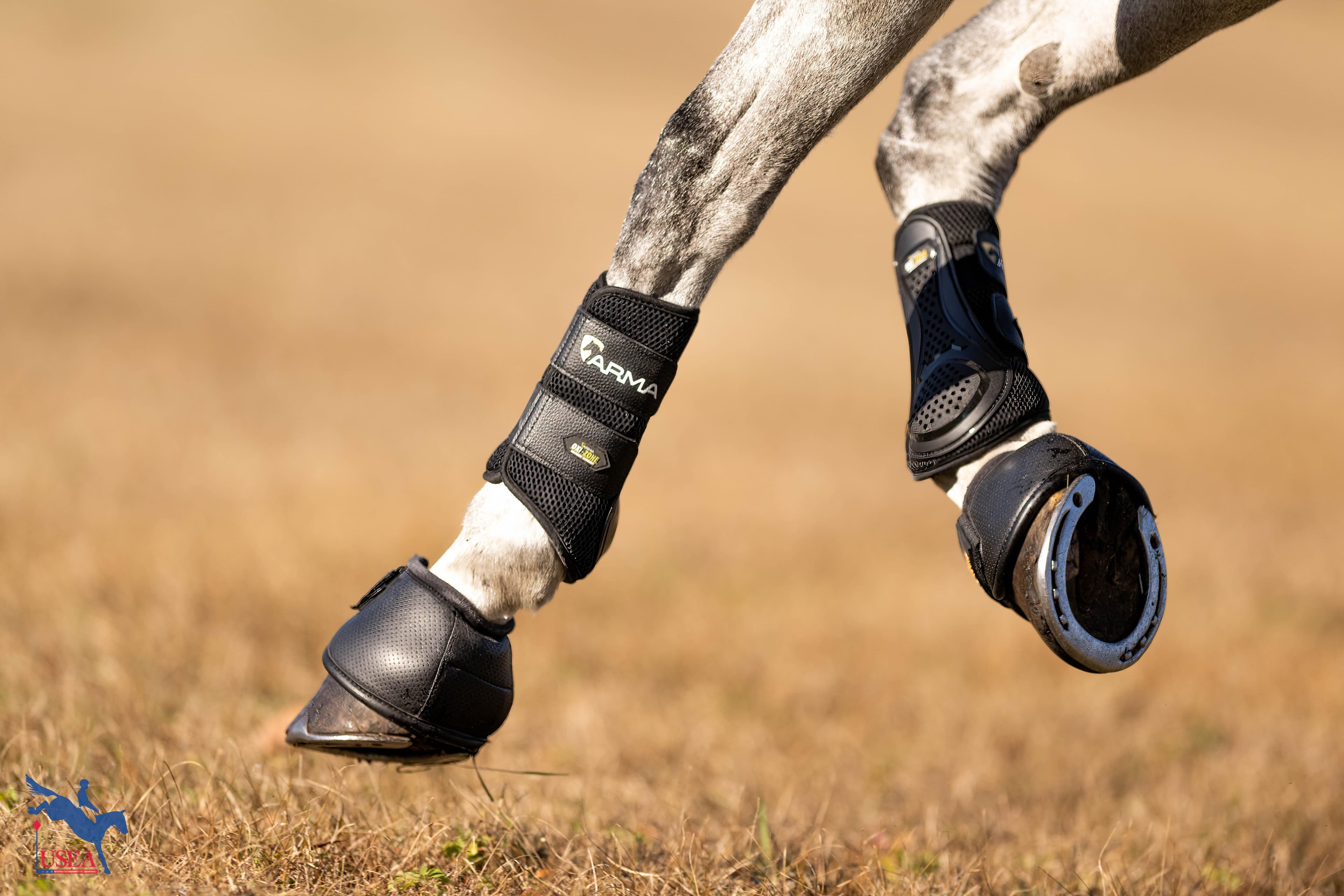 Thank you to ARMA for sponsoring! USEA/Atalya Boytner photo