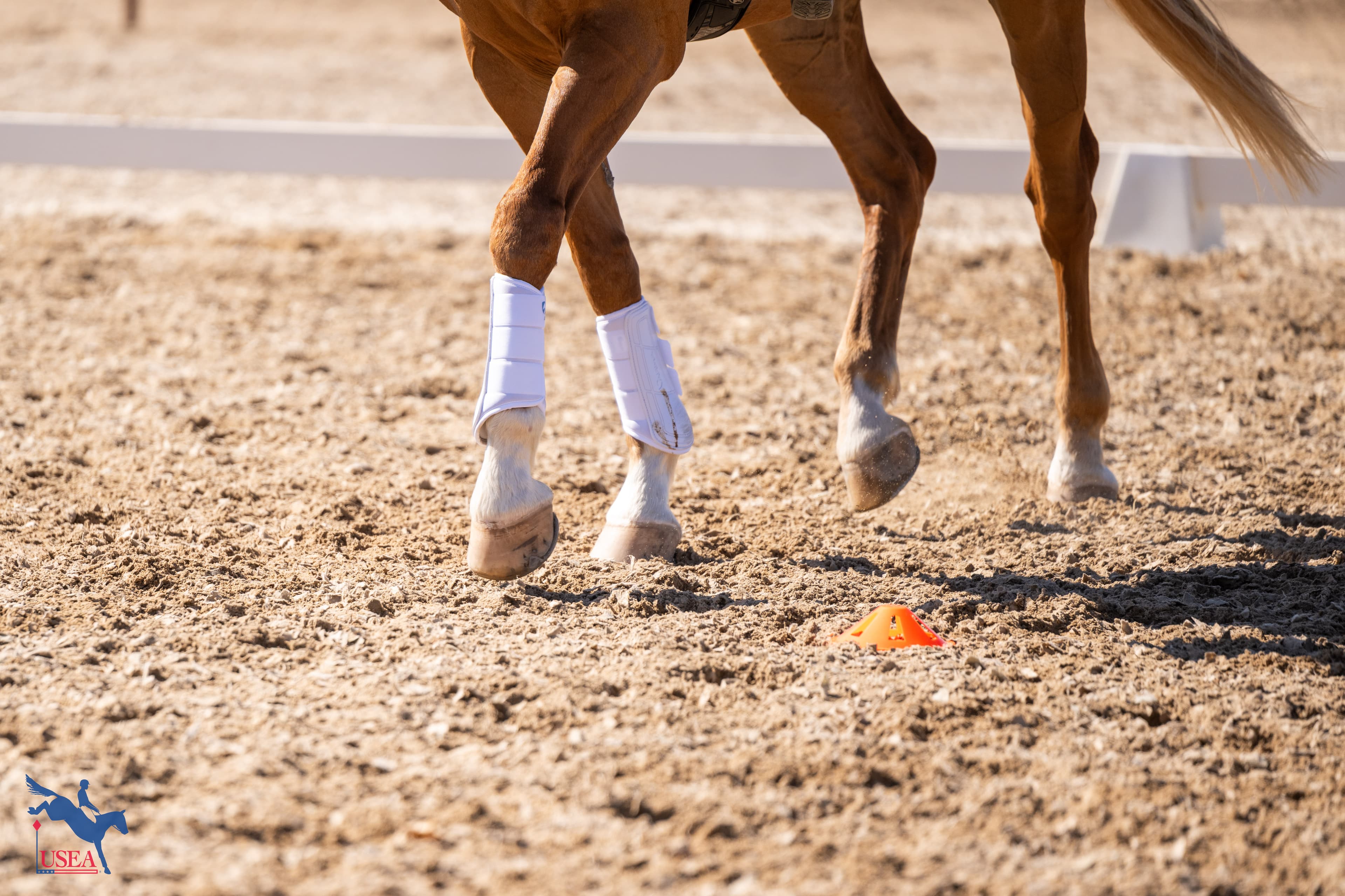 USEA/Atalya Boytner photo