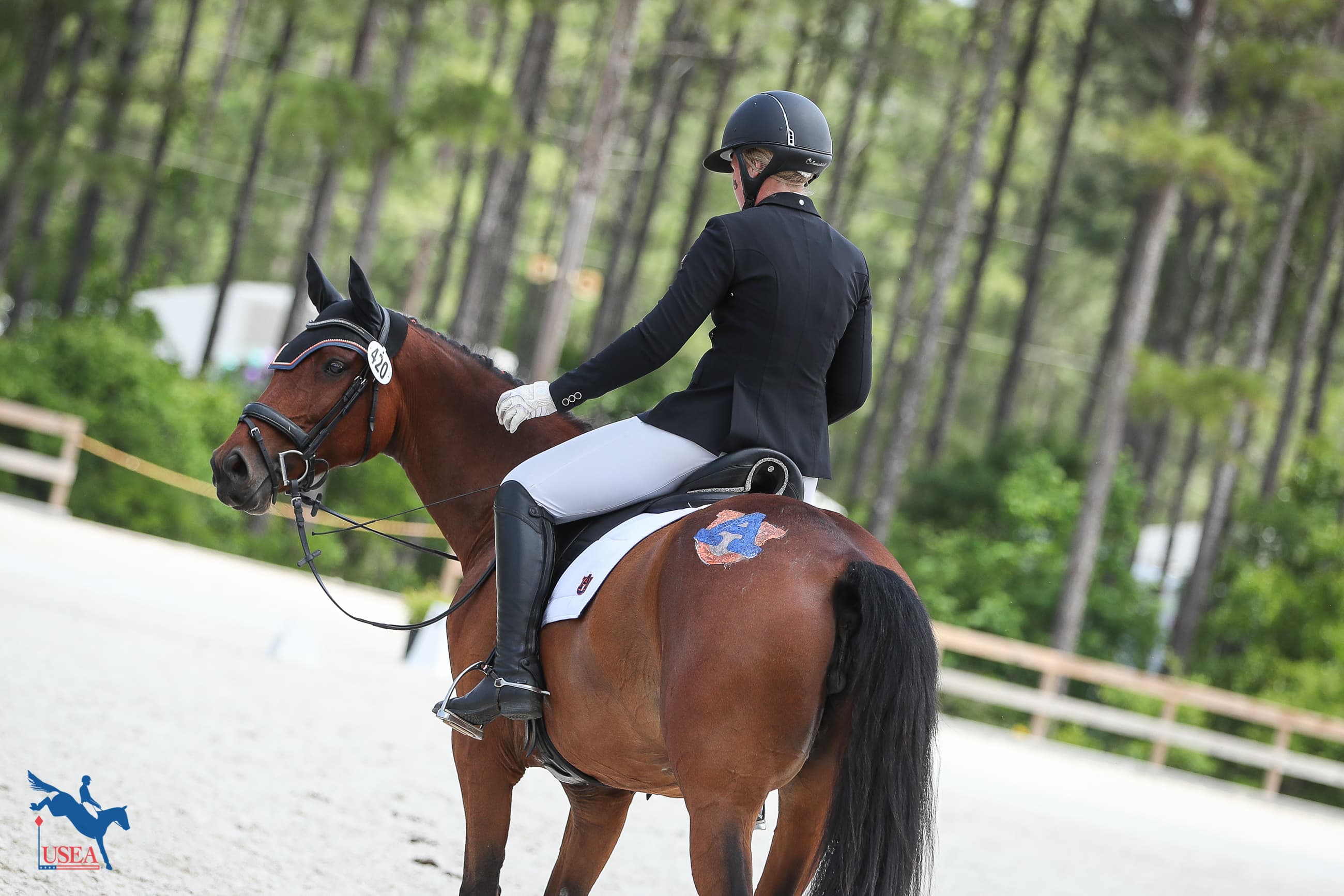 USEA/Annan Hepner photo