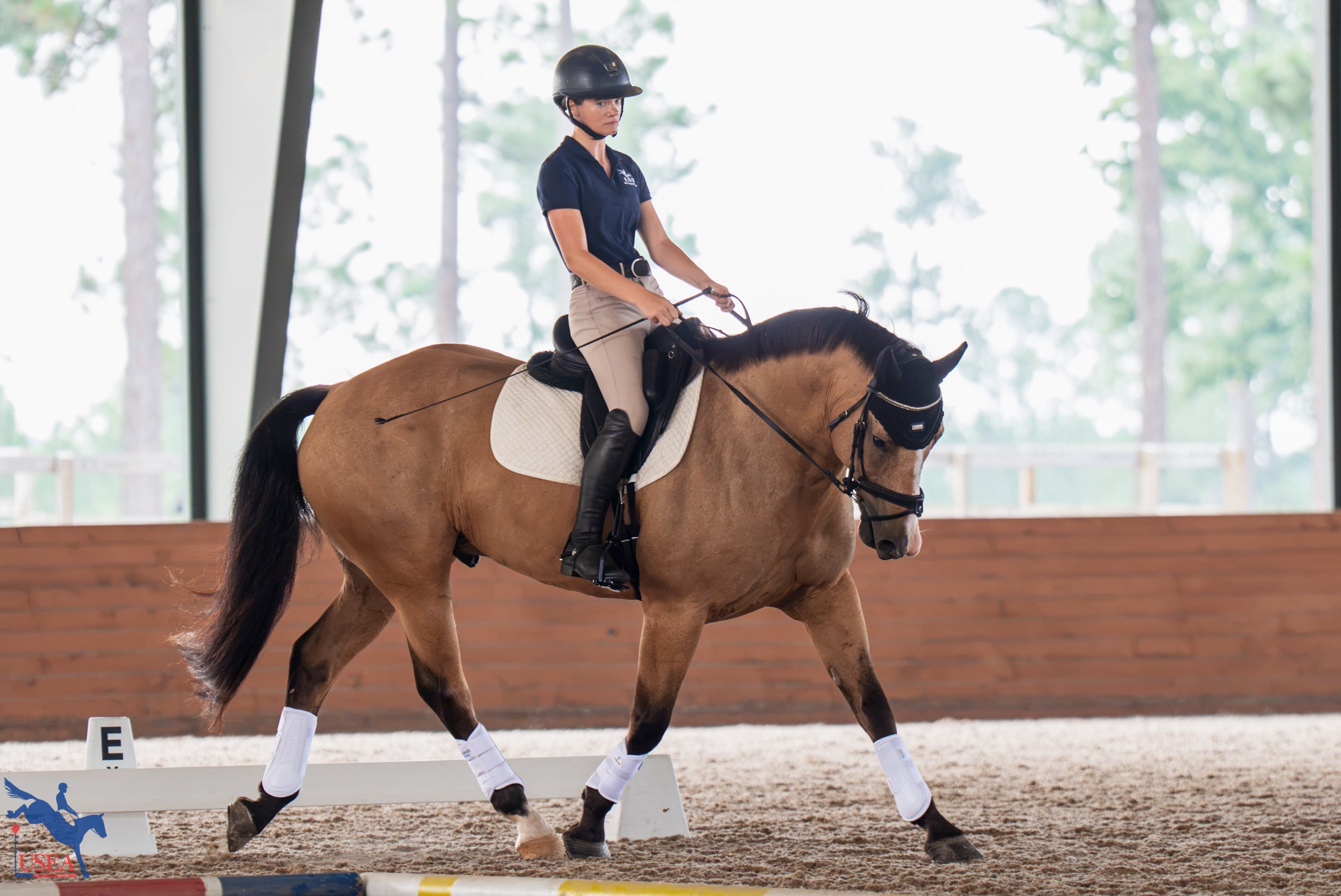 USEA/Christine Quinn photo
