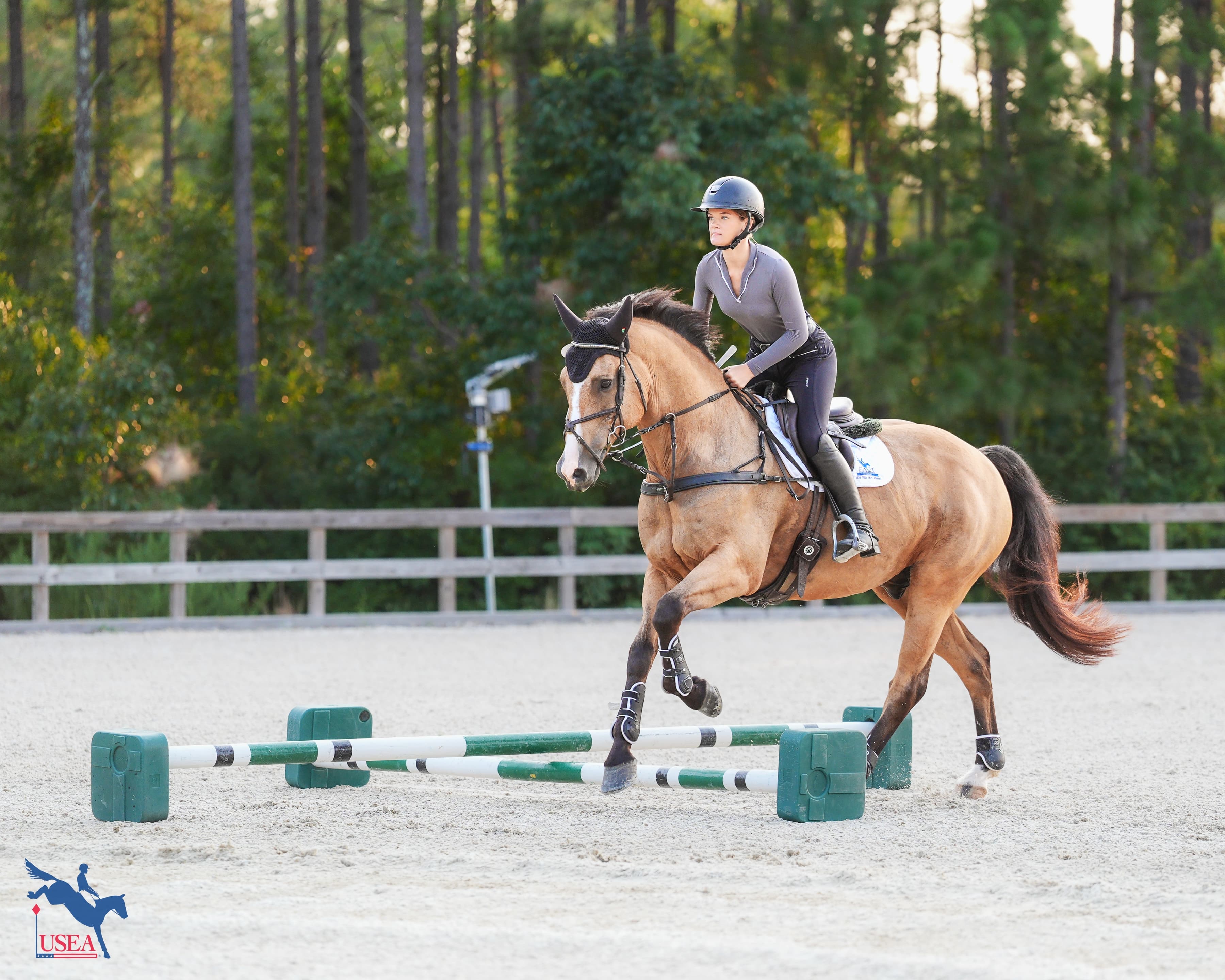 USEA/Christine Quinn photo