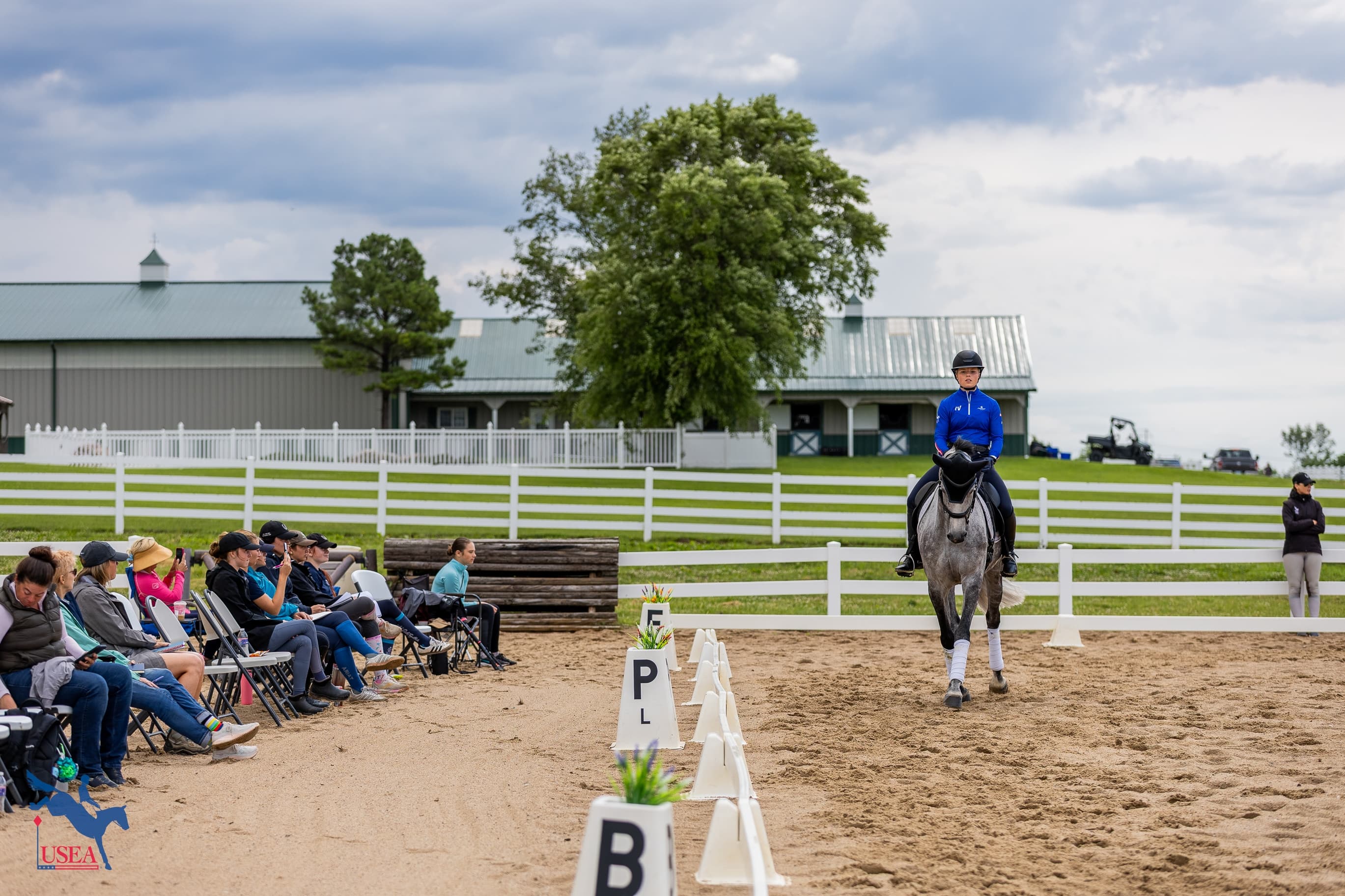 Ava Davis. USEA/Haley Johnson photo
