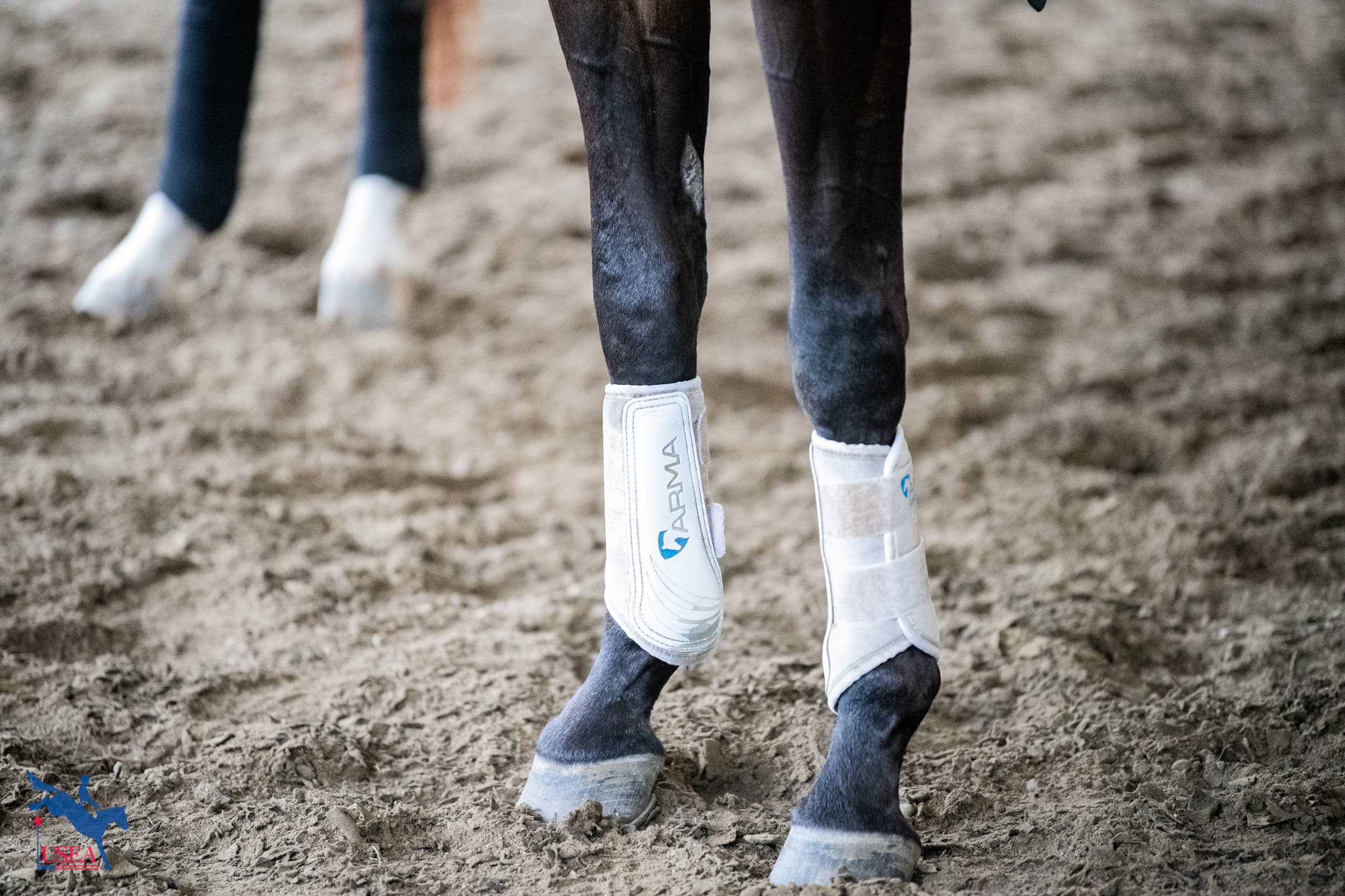USEA/Lindsay Berreth photo